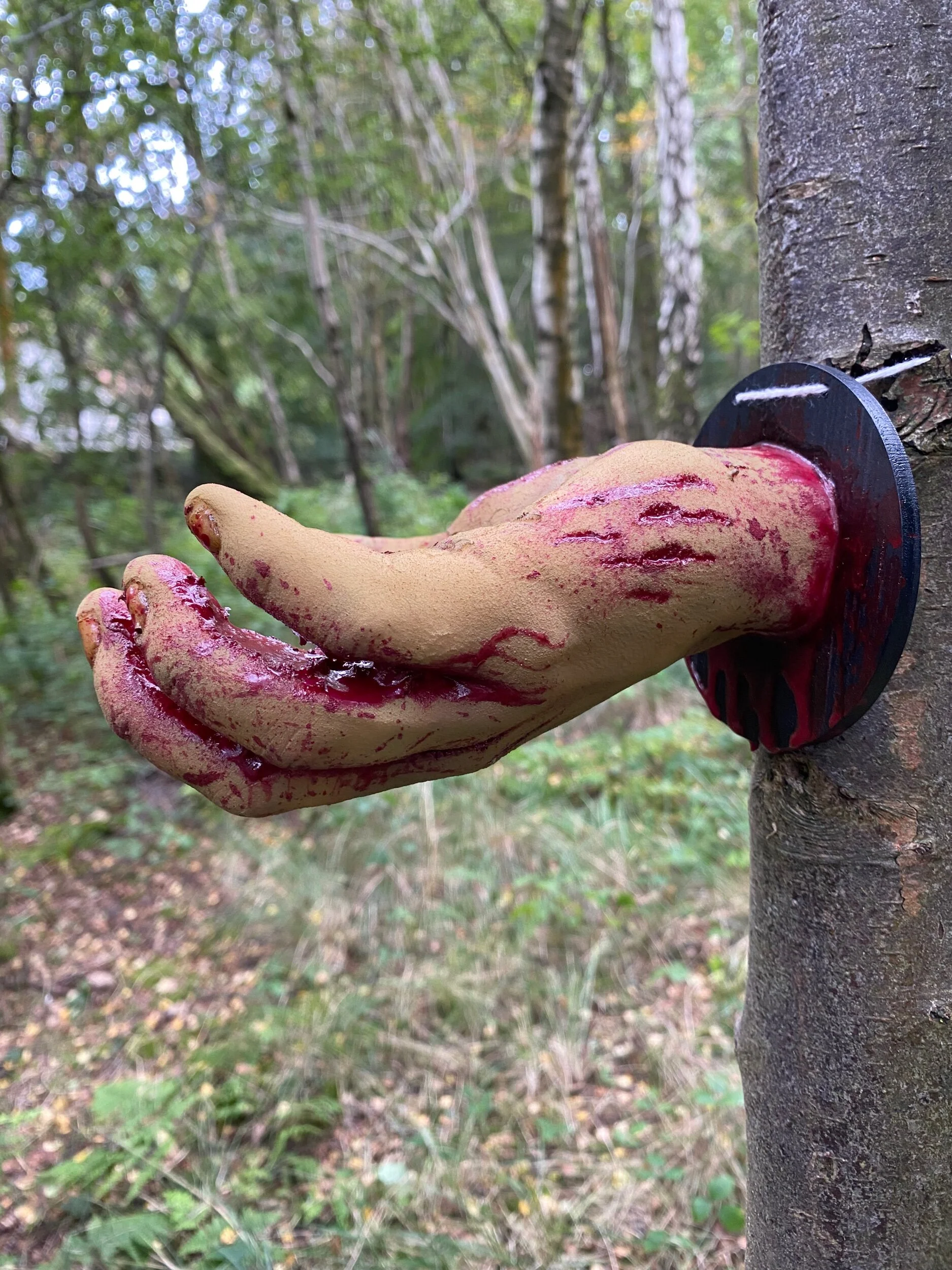 B8F0AF24-01DF-4C37-828E-FDA8E64C67B8