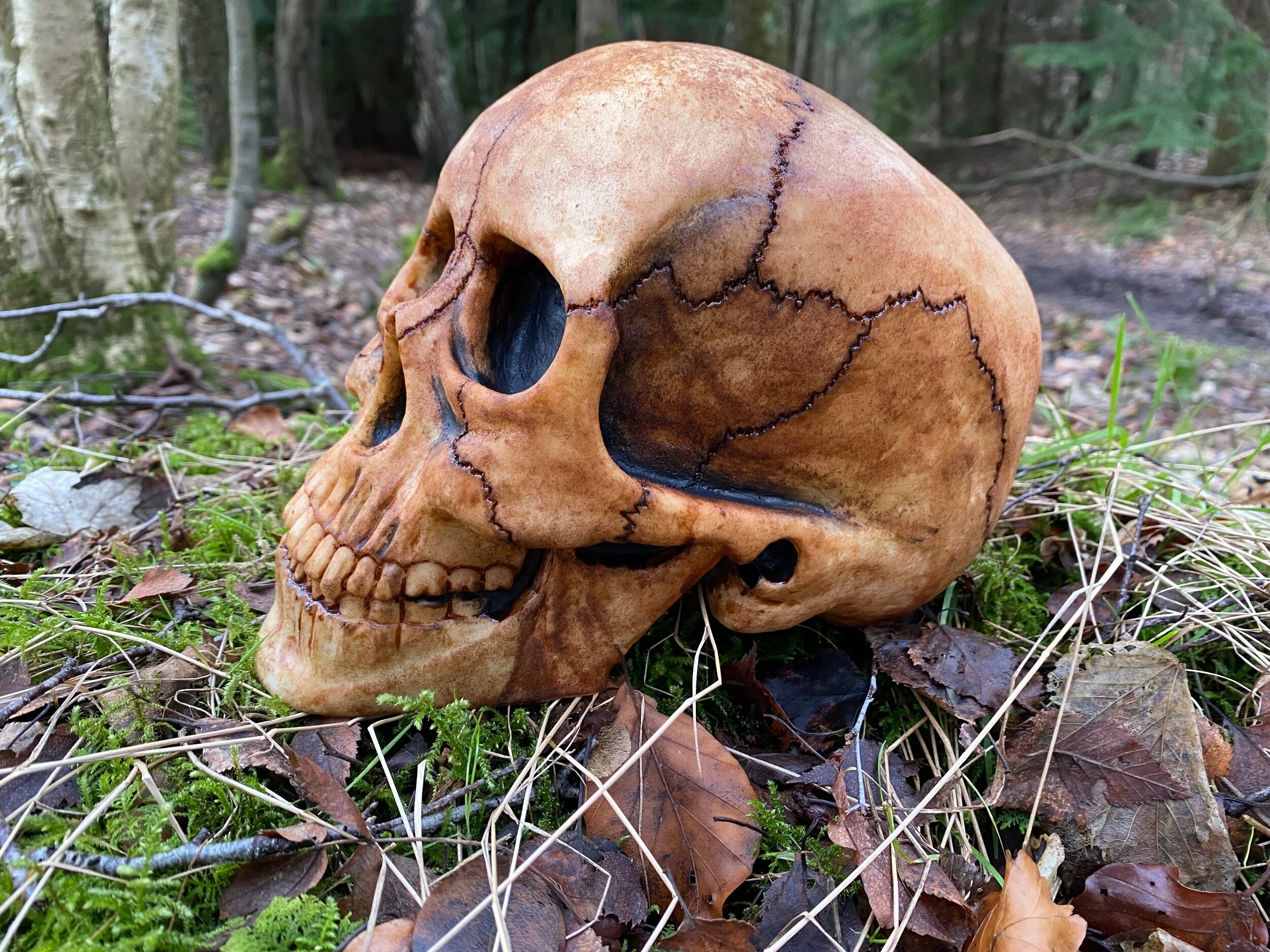 1E719C5C-B4AE-4090-AA04-66A572030474