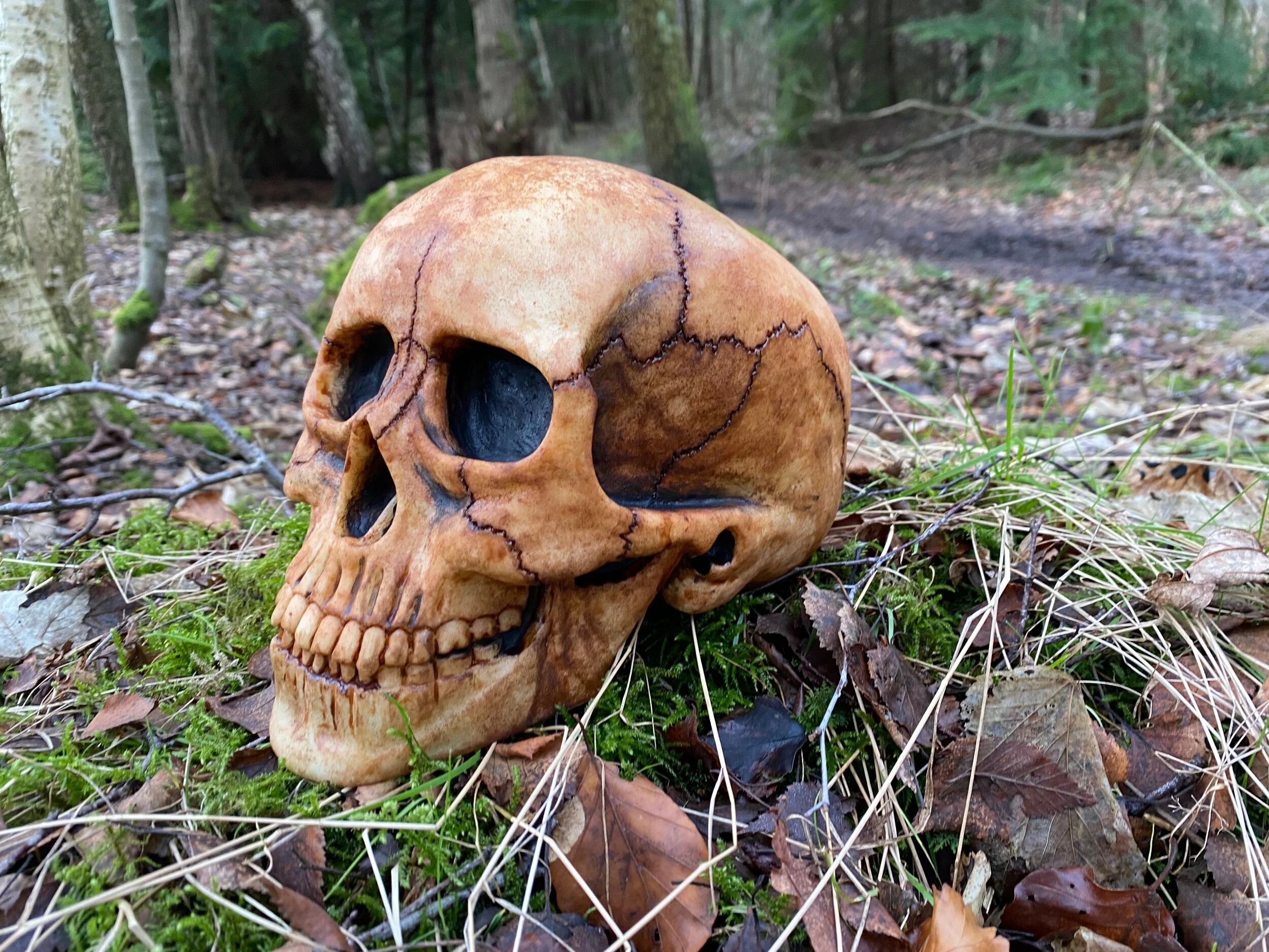 638E9D1B-7535-4CBA-99B6-FB24600FC78F