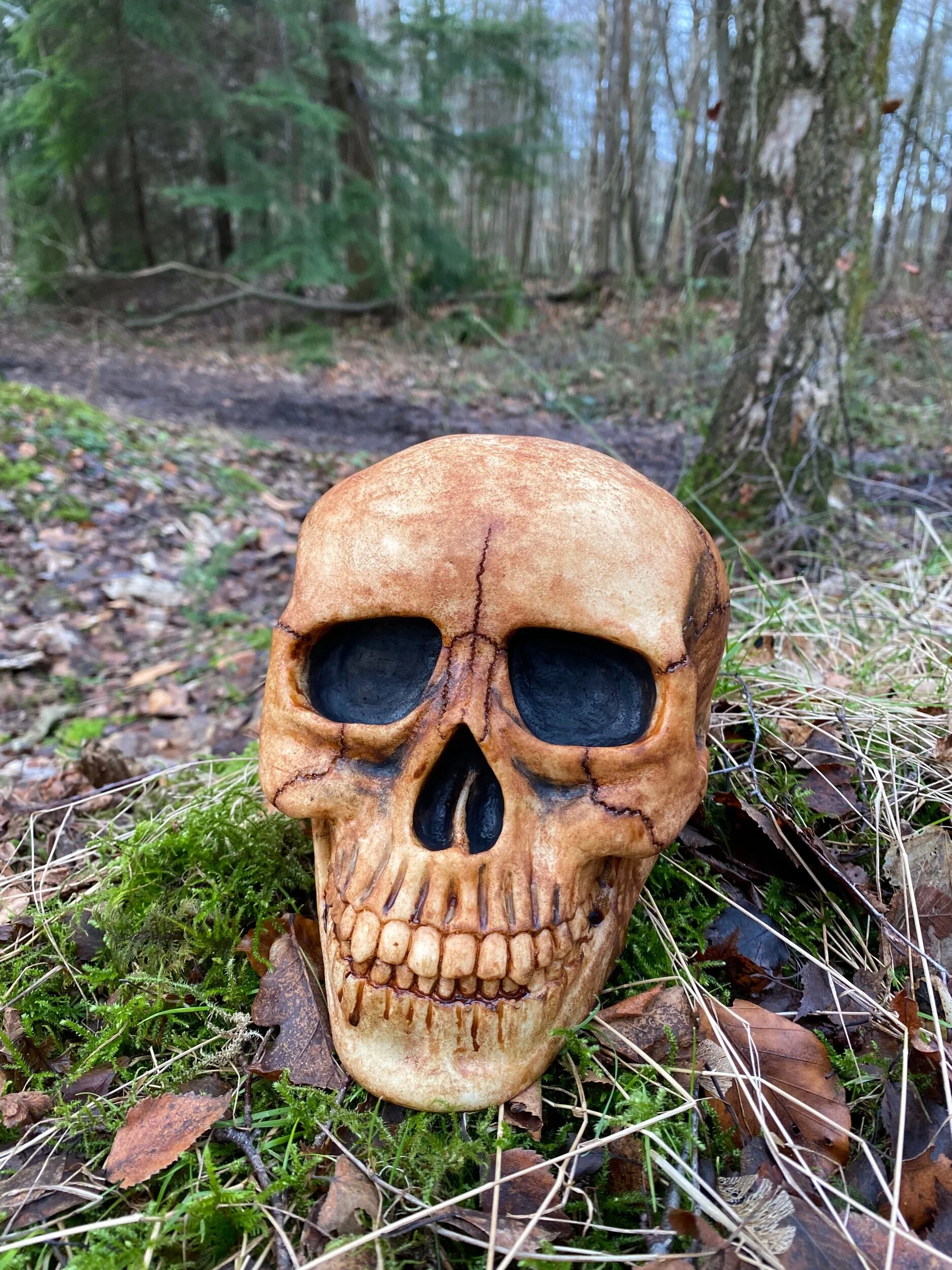 A4FA26C7-F642-4859-9730-854C76F535AC