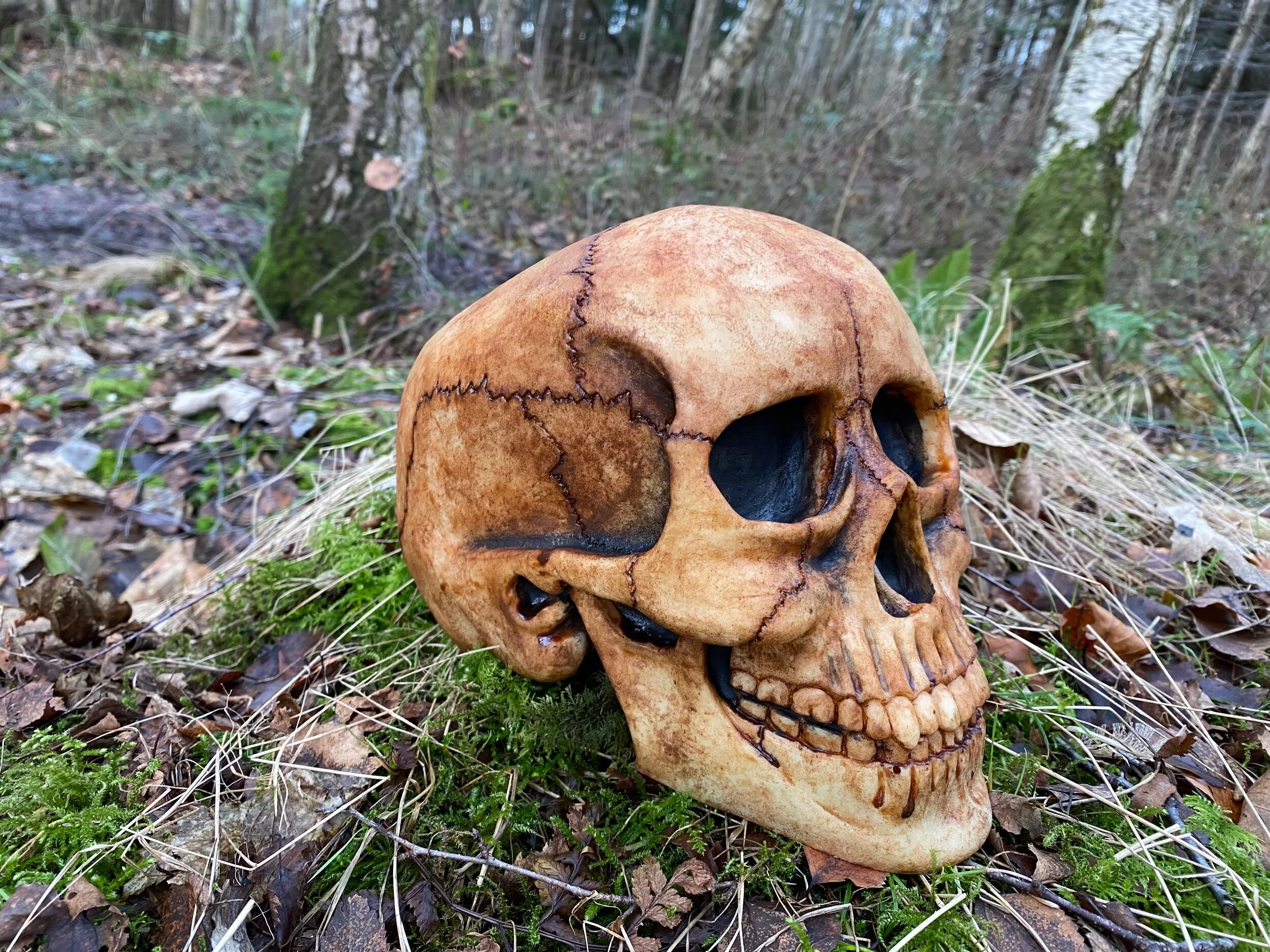 F439625E-9D6F-496D-A4EF-8EDAB7873FB3