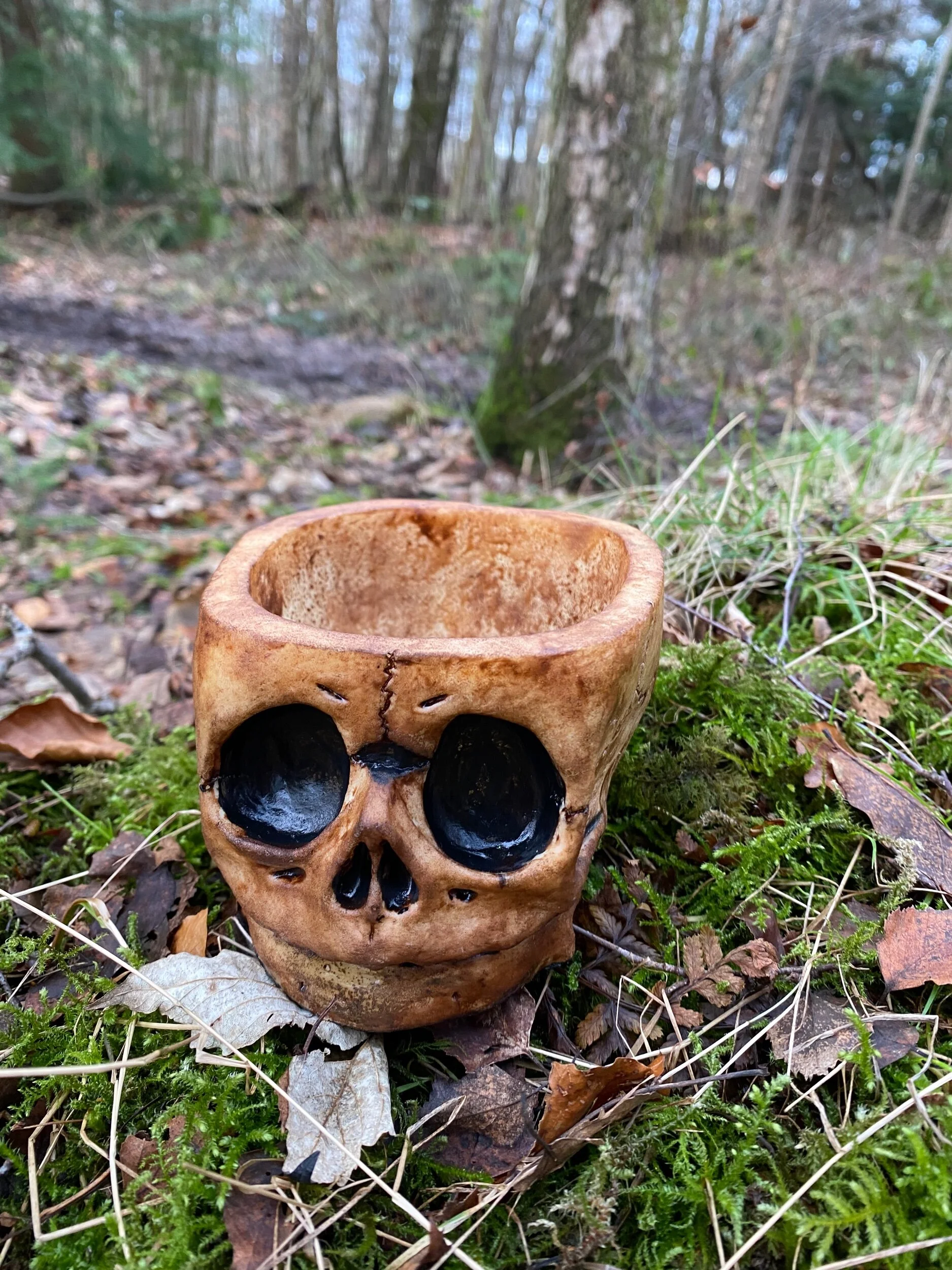 44565E48-3471-4959-AC2F-FDE974896EF0