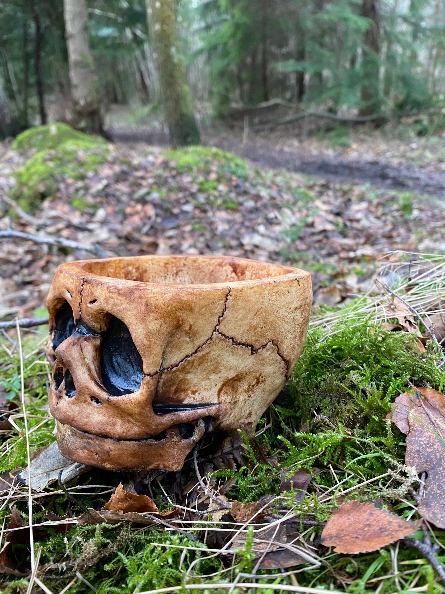 37A69D3F-4B3B-4BE8-82F9-45C3B087C68B