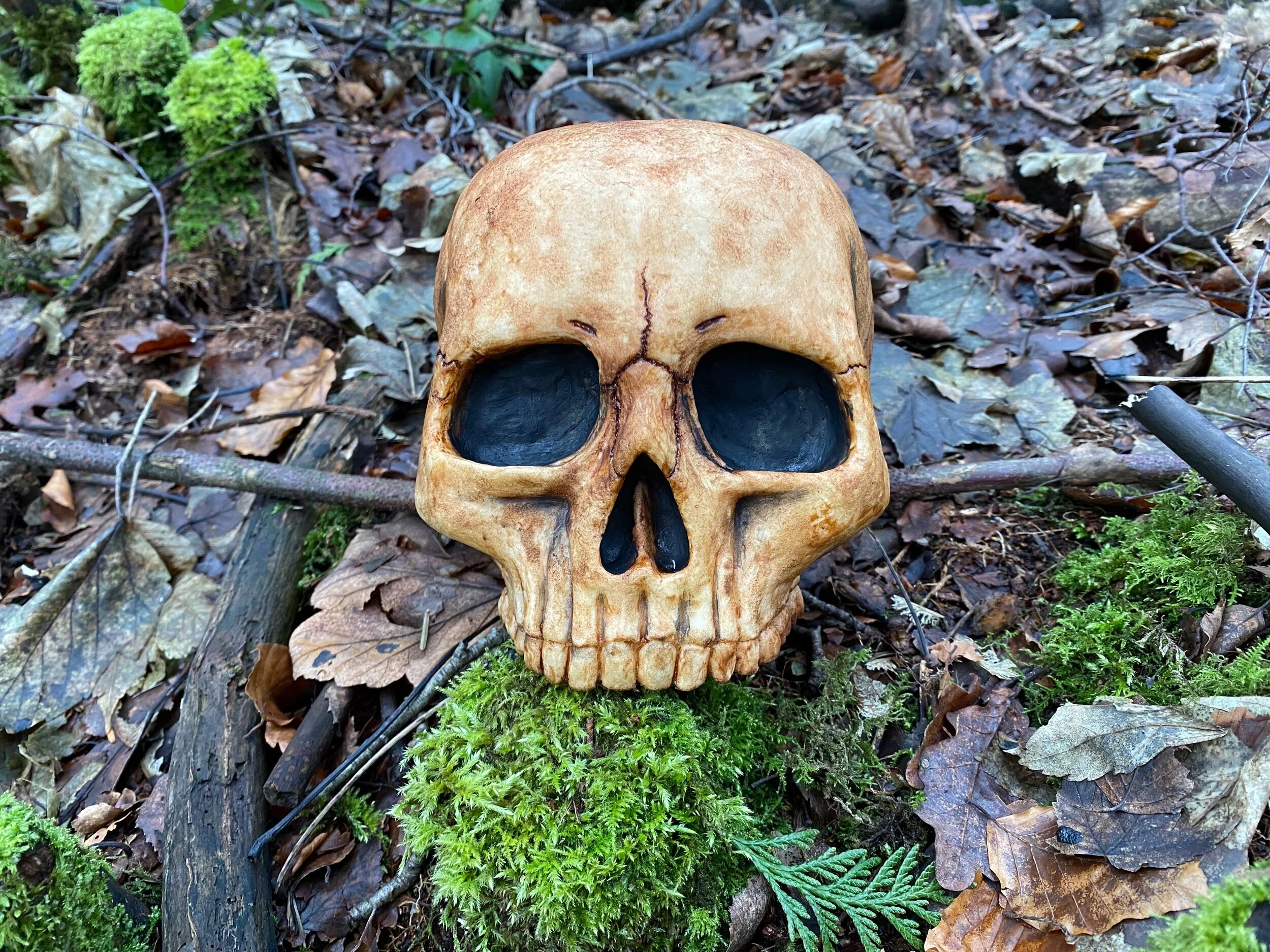 82E118ED-23A7-49B5-8589-93E7B6C6CED0