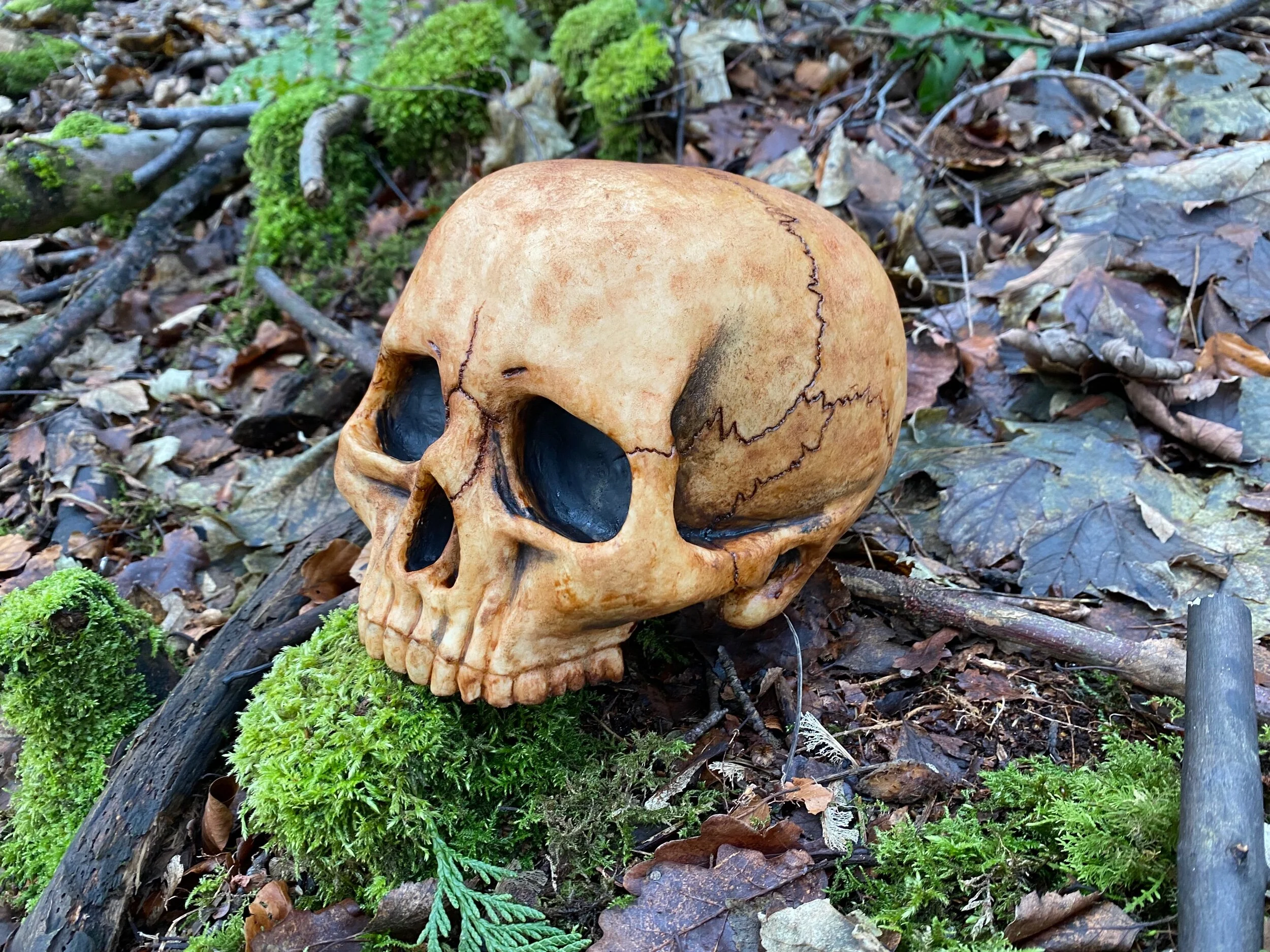 C6EC7E2A-AF5B-4E99-A508-39EA395707C8