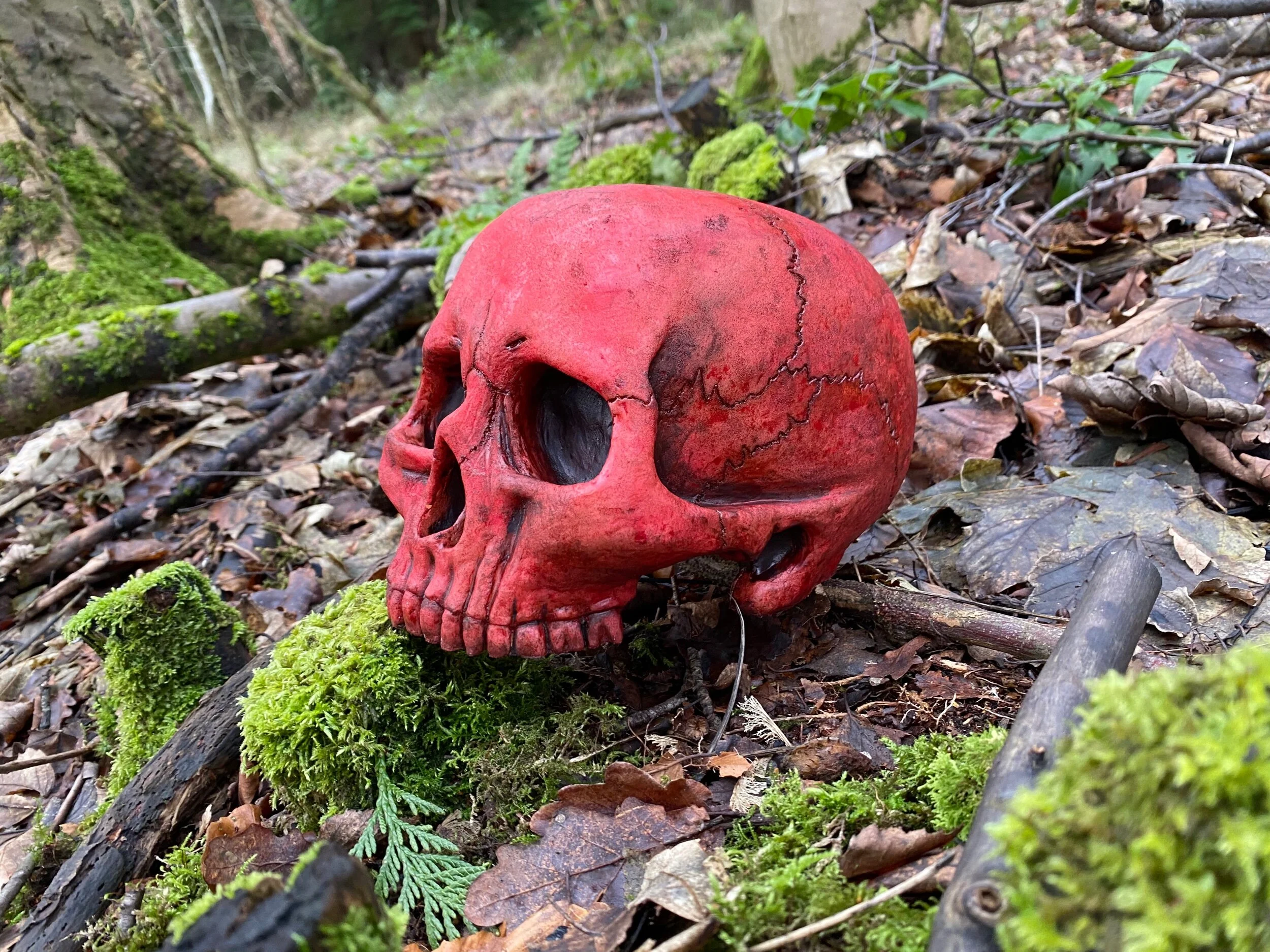 3AF90F1B-4E70-4D7F-915B-CB0282C05EF9