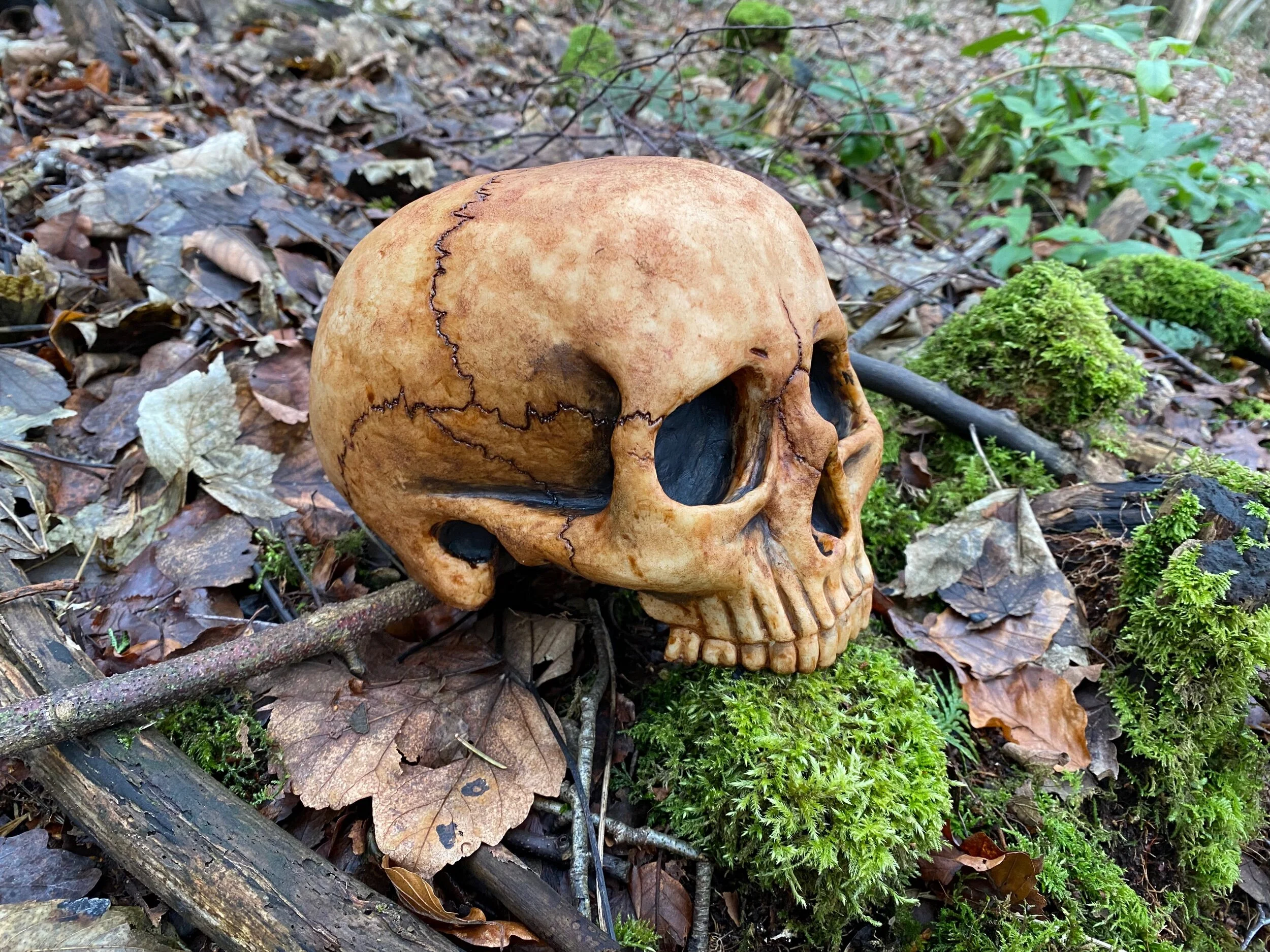 1F8F859A-7DDE-4ECD-9545-3E8047061A19