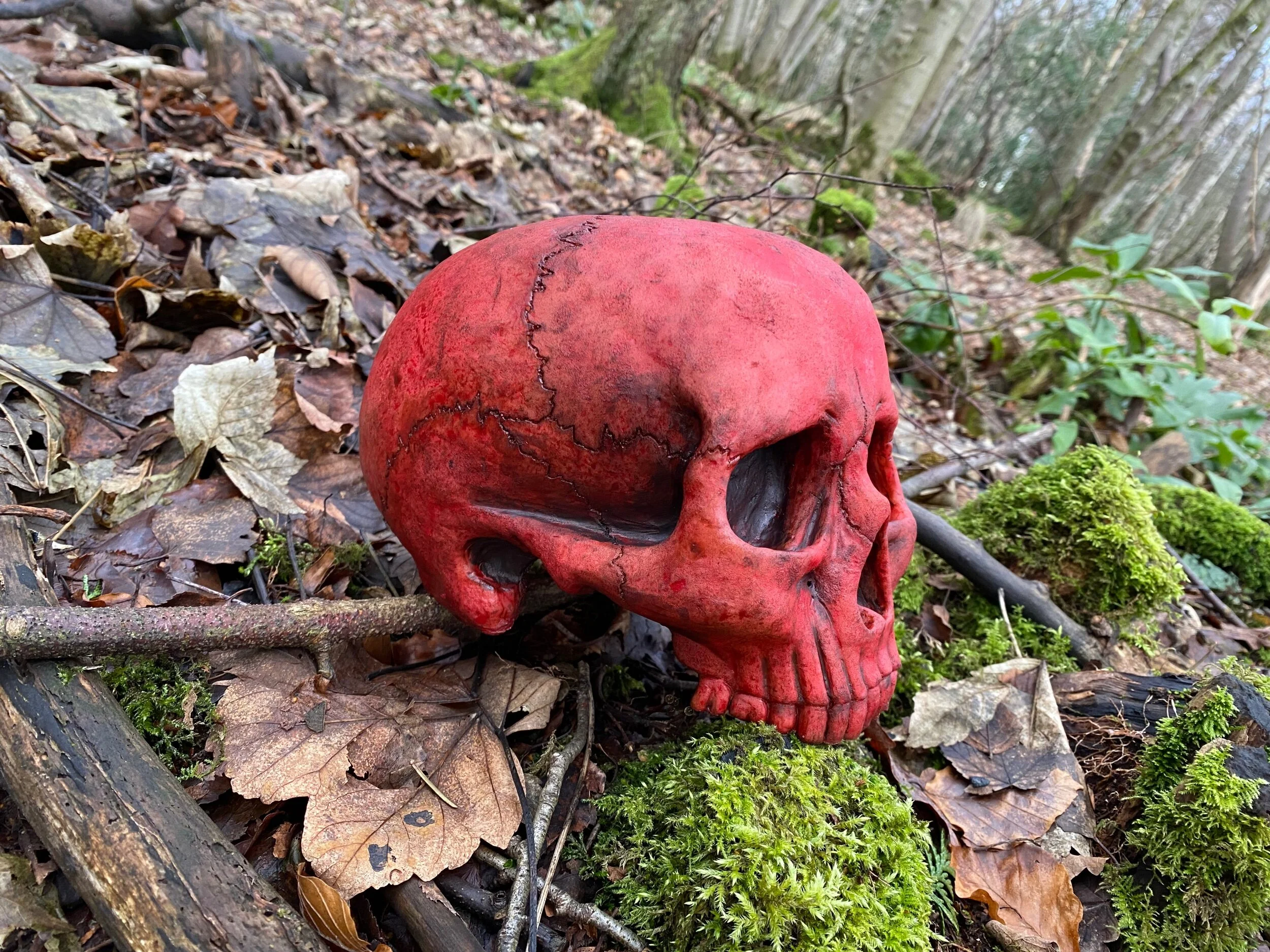 B0125BD2-1F56-447C-A9C3-8D3127740373