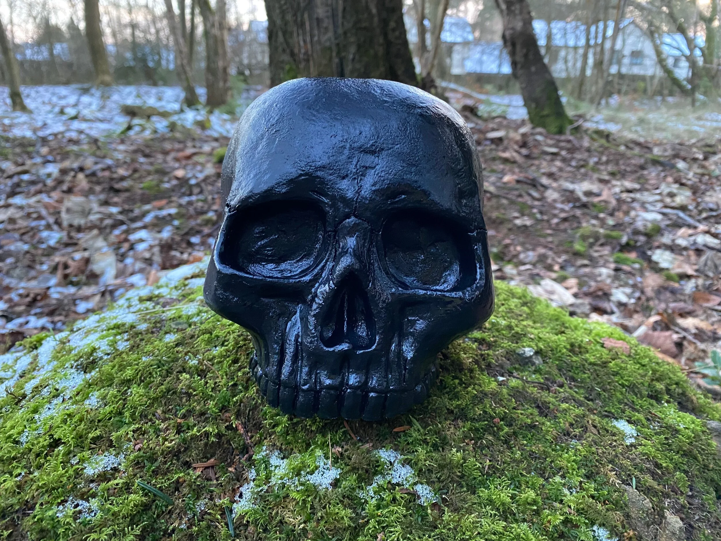 F2D915EC-EDBC-4C28-A6DD-CFCD144AADDA