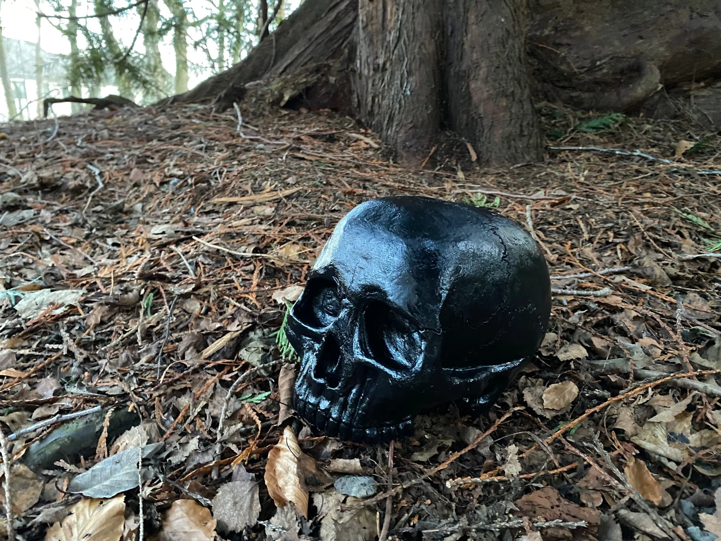 1141F008-E855-4FF9-A8EF-8B88F91F69DC