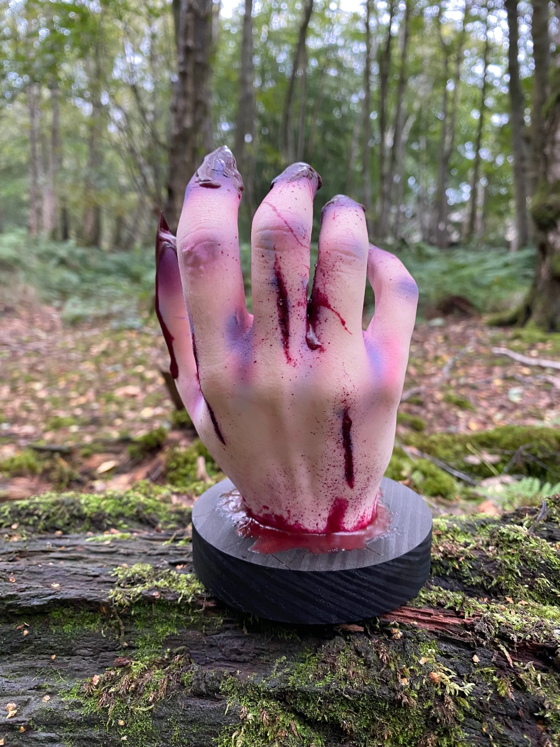 9F4CC8B7-728D-46C9-805F-1F3ACB46231D