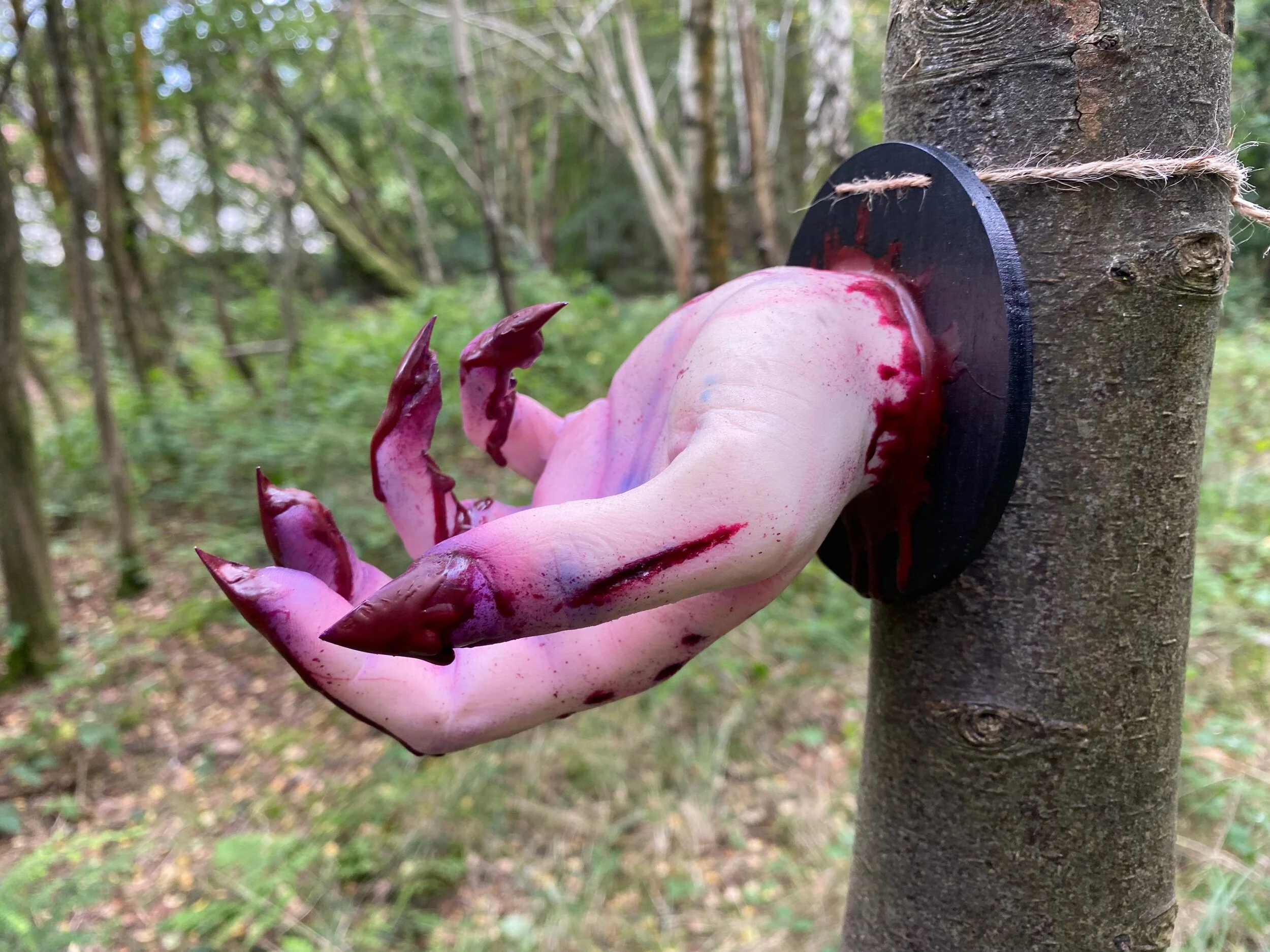 7F4545A5-252E-4A98-B75C-D257AA678D00