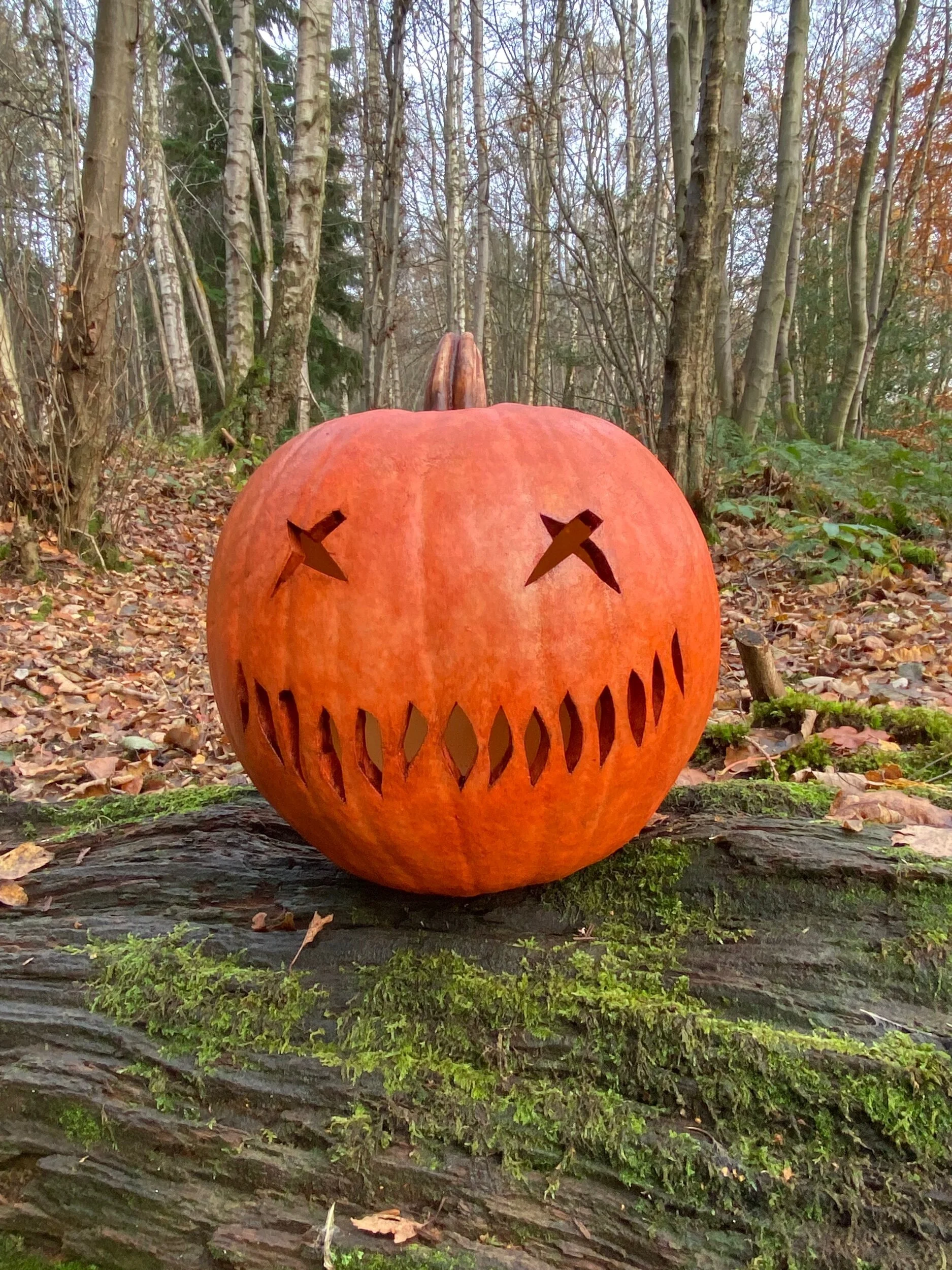 17F1F587-0737-4E51-BB3A-1DAD58F726C6