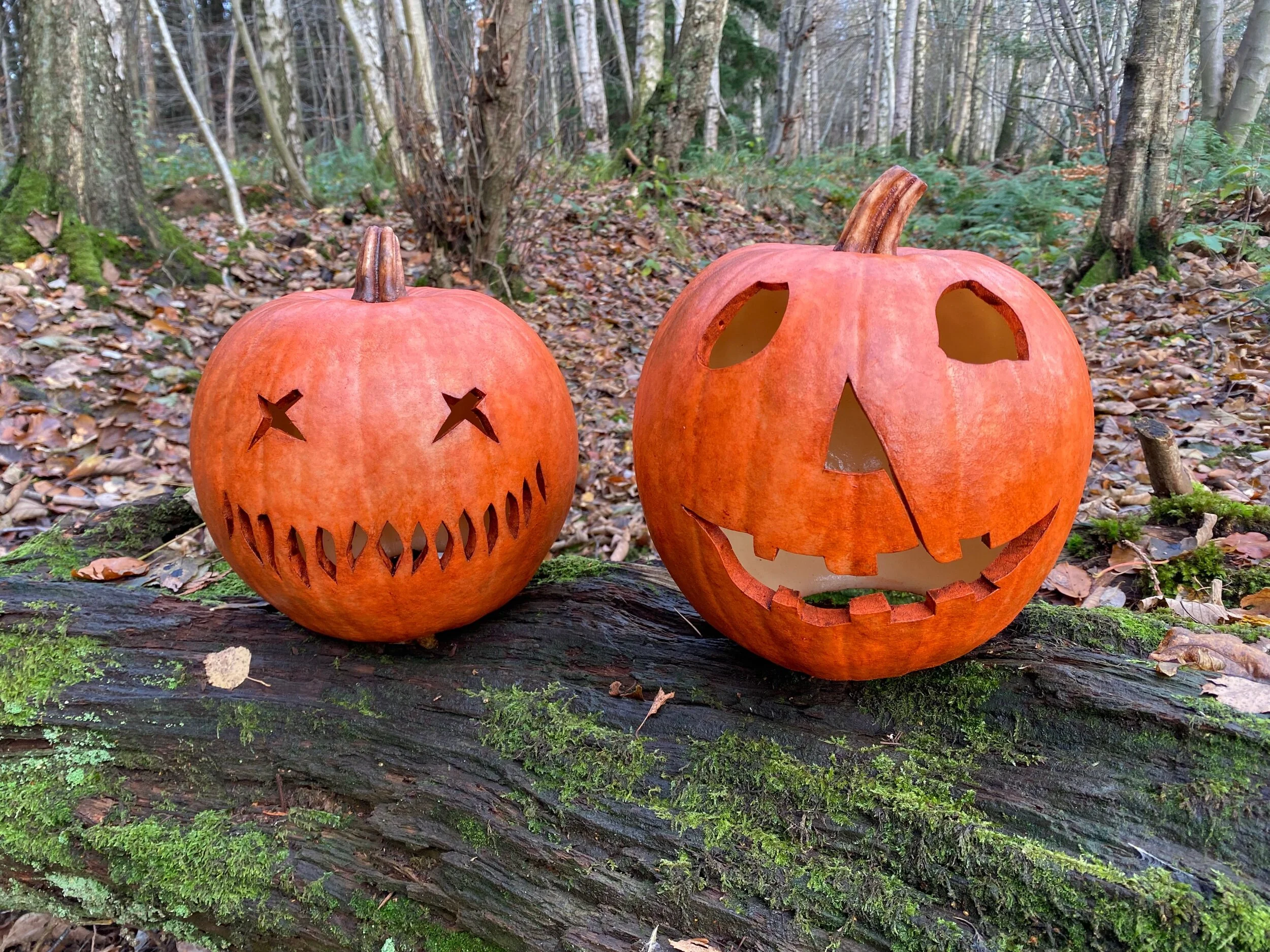 505832A3-213E-41F8-9108-2B5099B64066