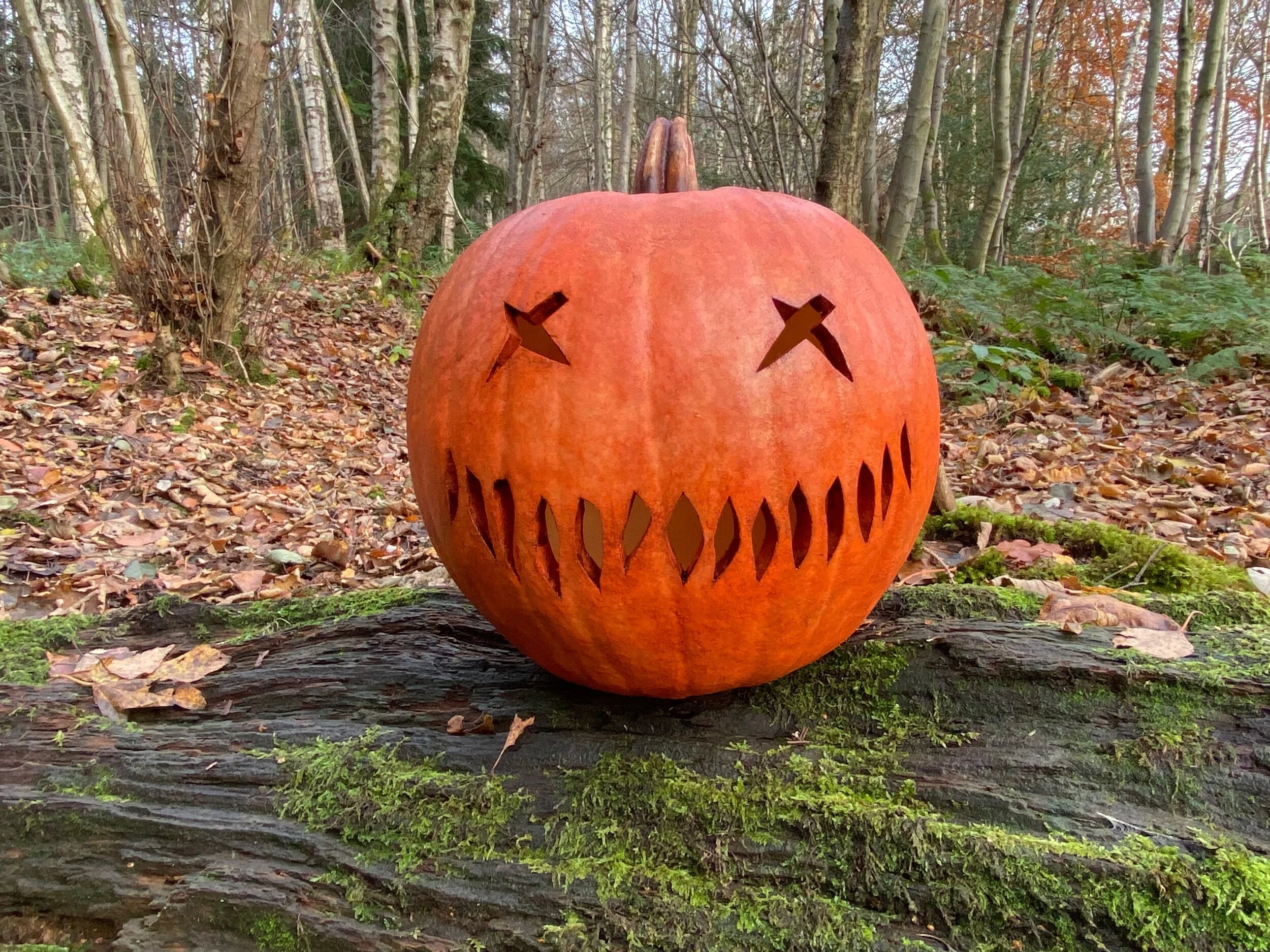 7C378B50-053A-4D12-B085-4F1323560E8F