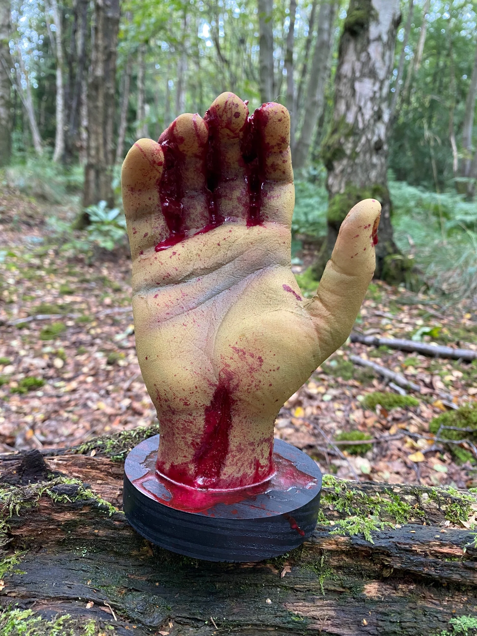 B5813927-128B-4A3B-AB53-EFFA4B53B049