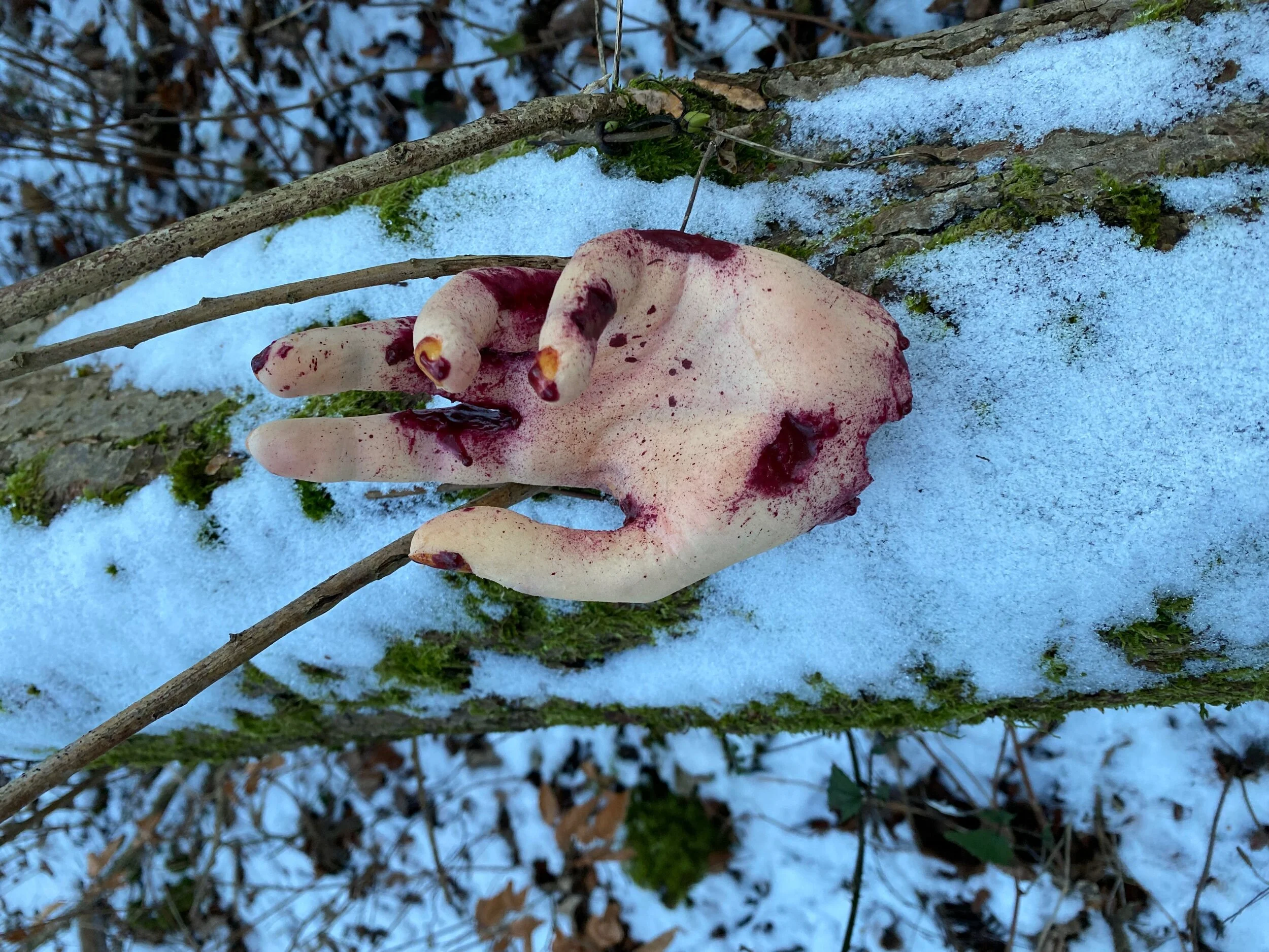 DF2BA857-5BCF-4156-9456-F29CC4362206