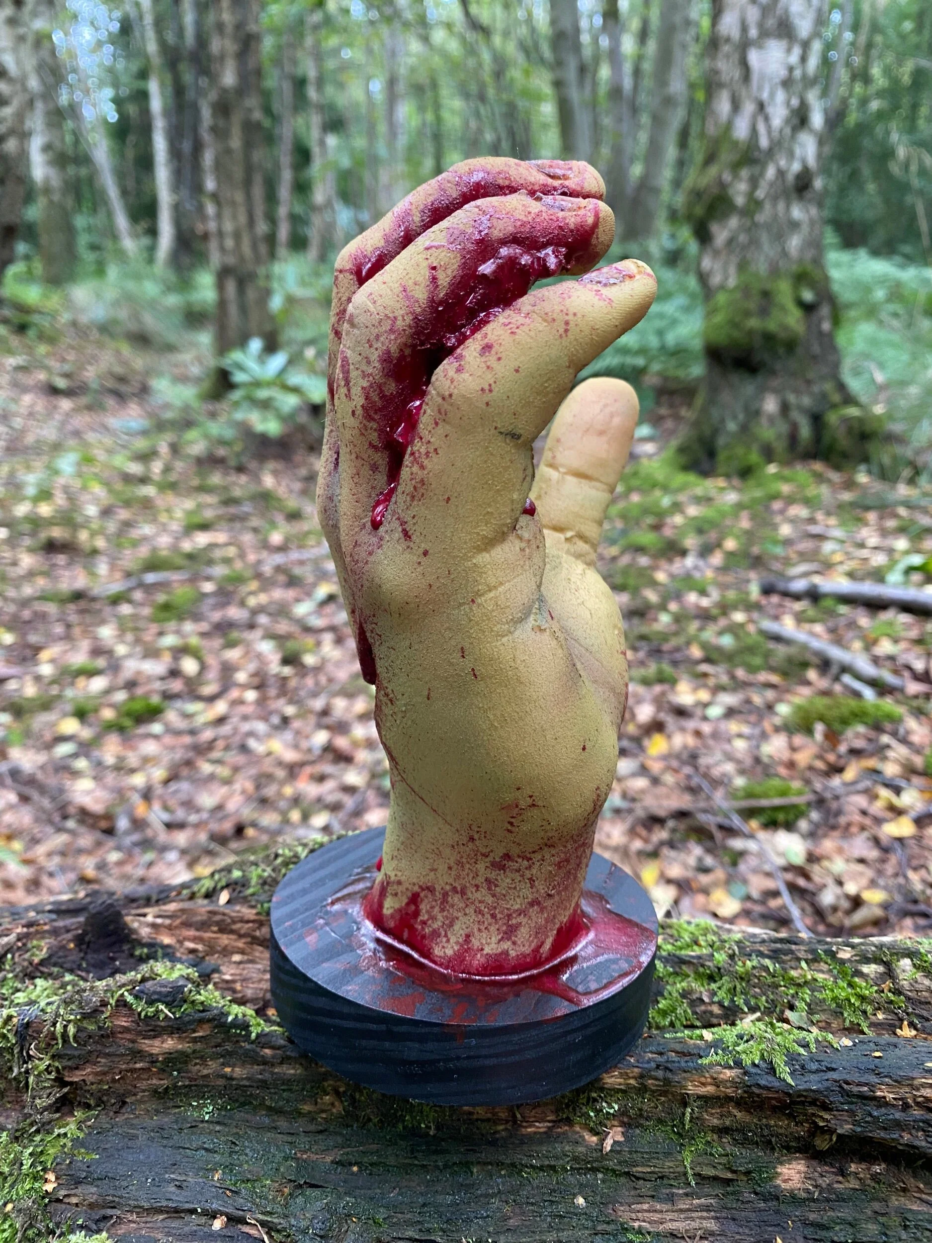 6F8B800B-E26F-443B-9305-FF933EE1F3D6