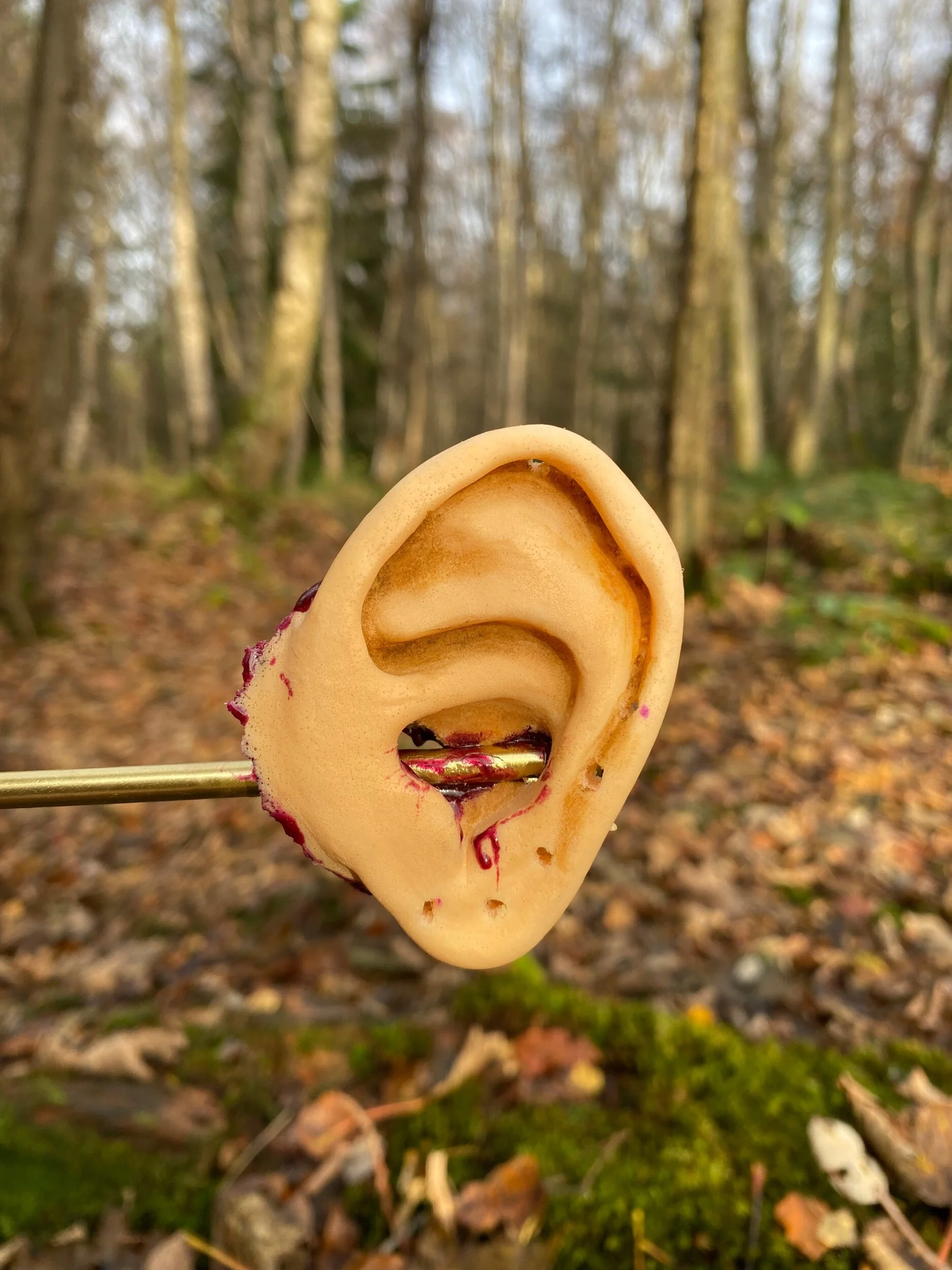 9F515A55-F706-453F-A7F6-069AC5D6A95D