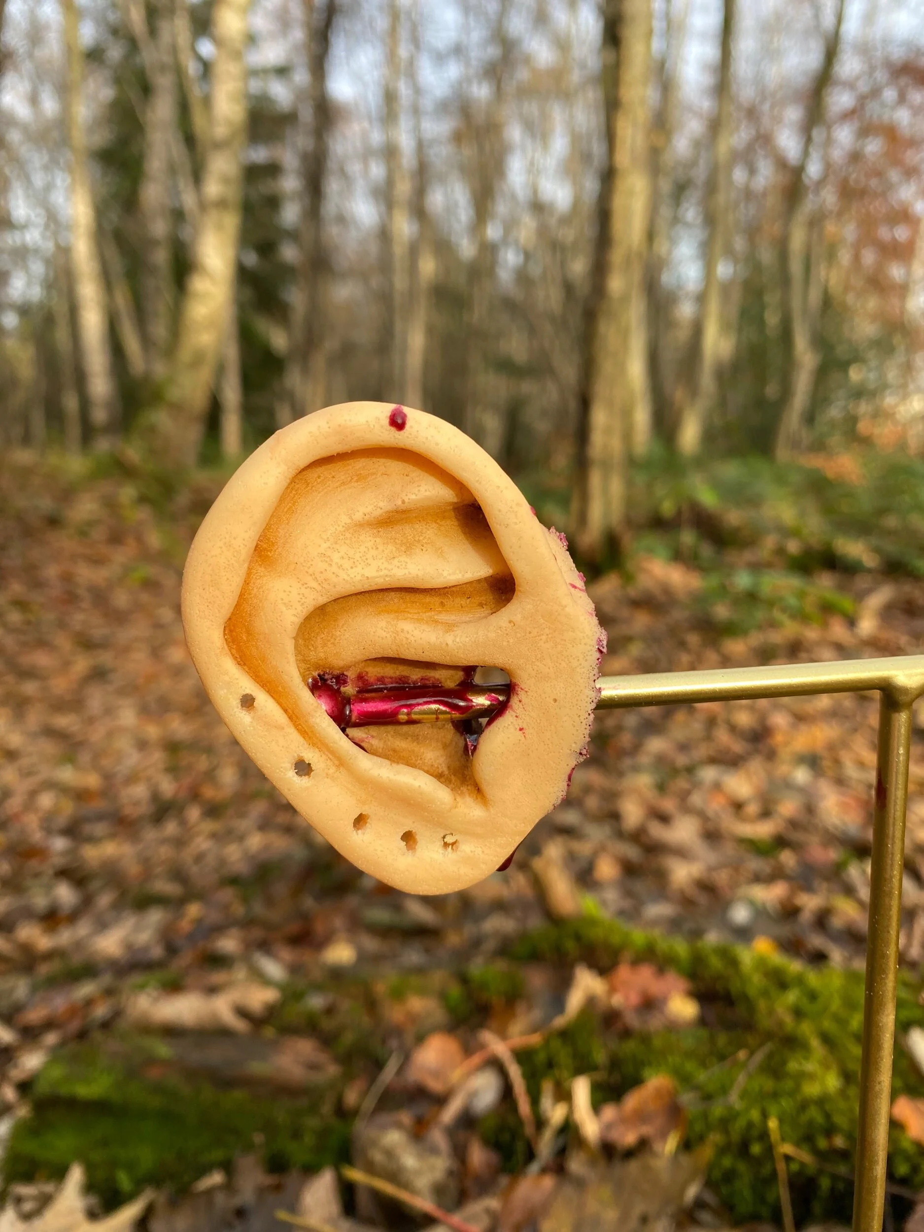 45FC908A-6EB2-4670-9E08-BD79C4A75435