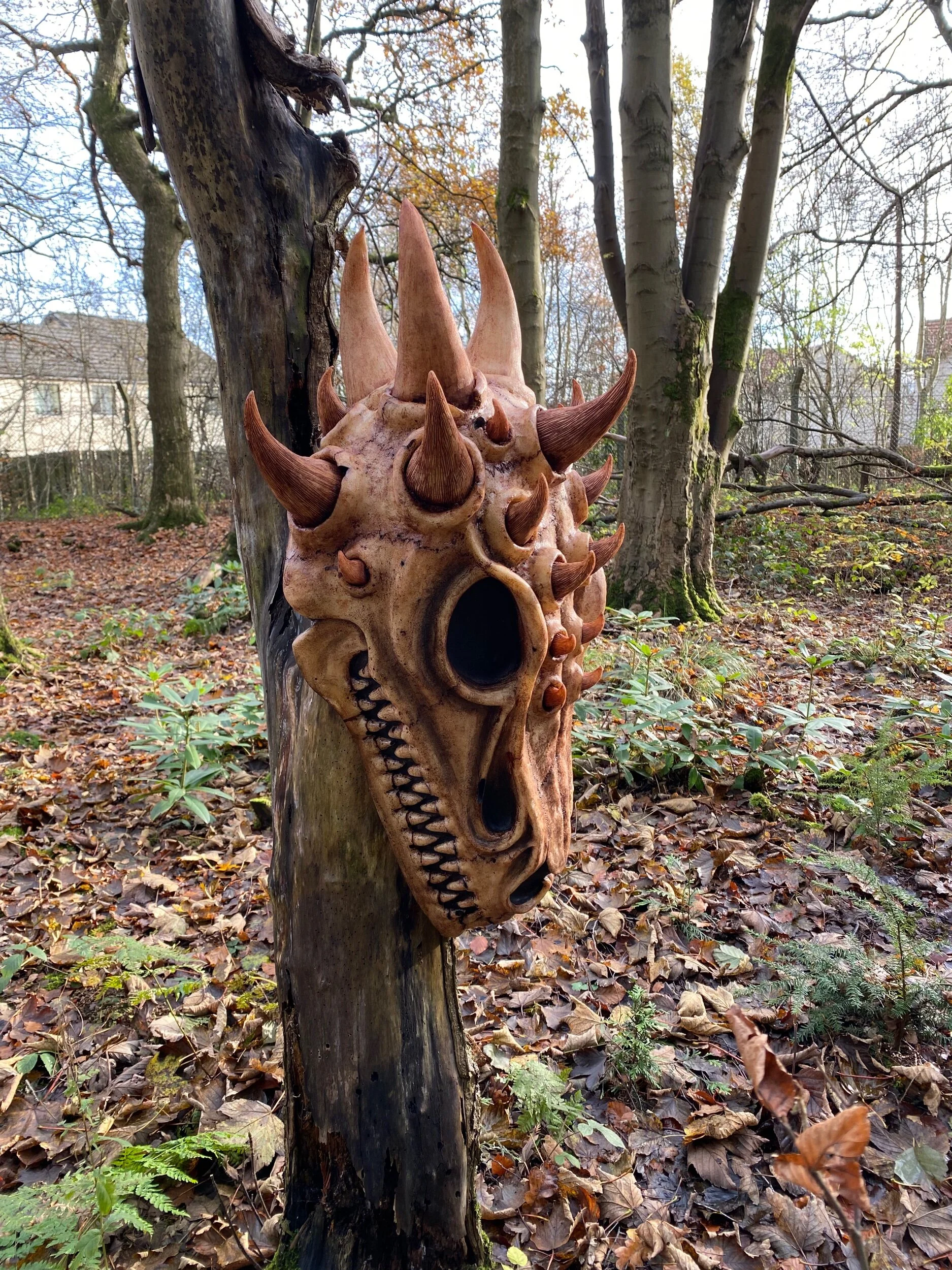 A7686D4F-169D-47B4-BB89-BD6F30FCB46D