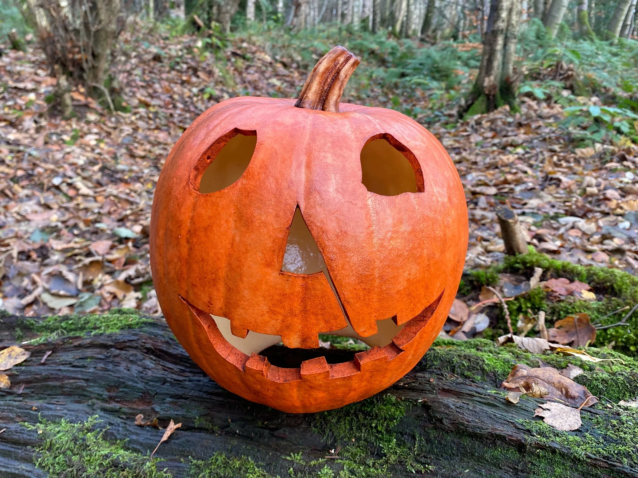 B36A6E26-007B-405C-ACEB-2C18D4064F6F