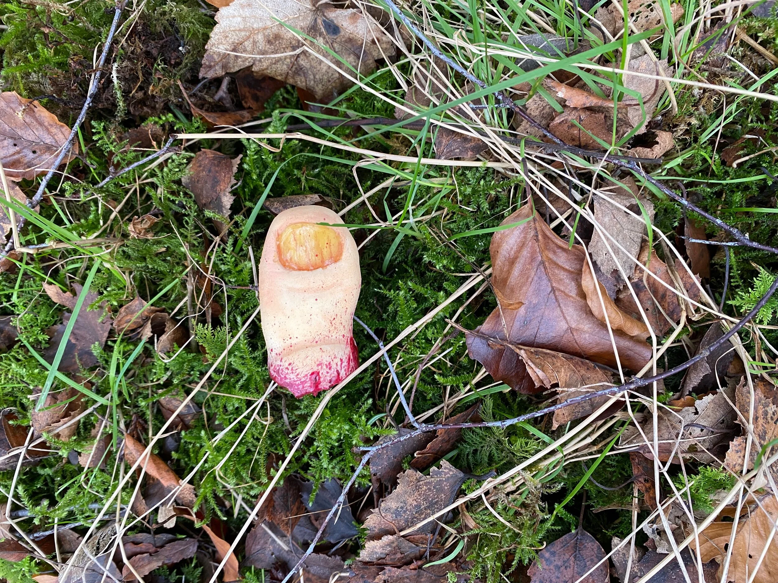 A7C4DE1B-2333-485B-B4CD-CBDC0CBBA45D