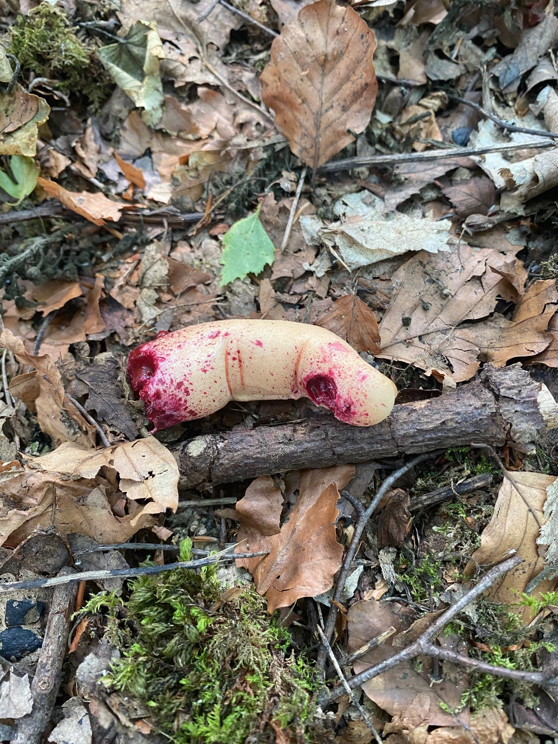 6D559772-A386-4D04-B77F-7D34E6167DF9