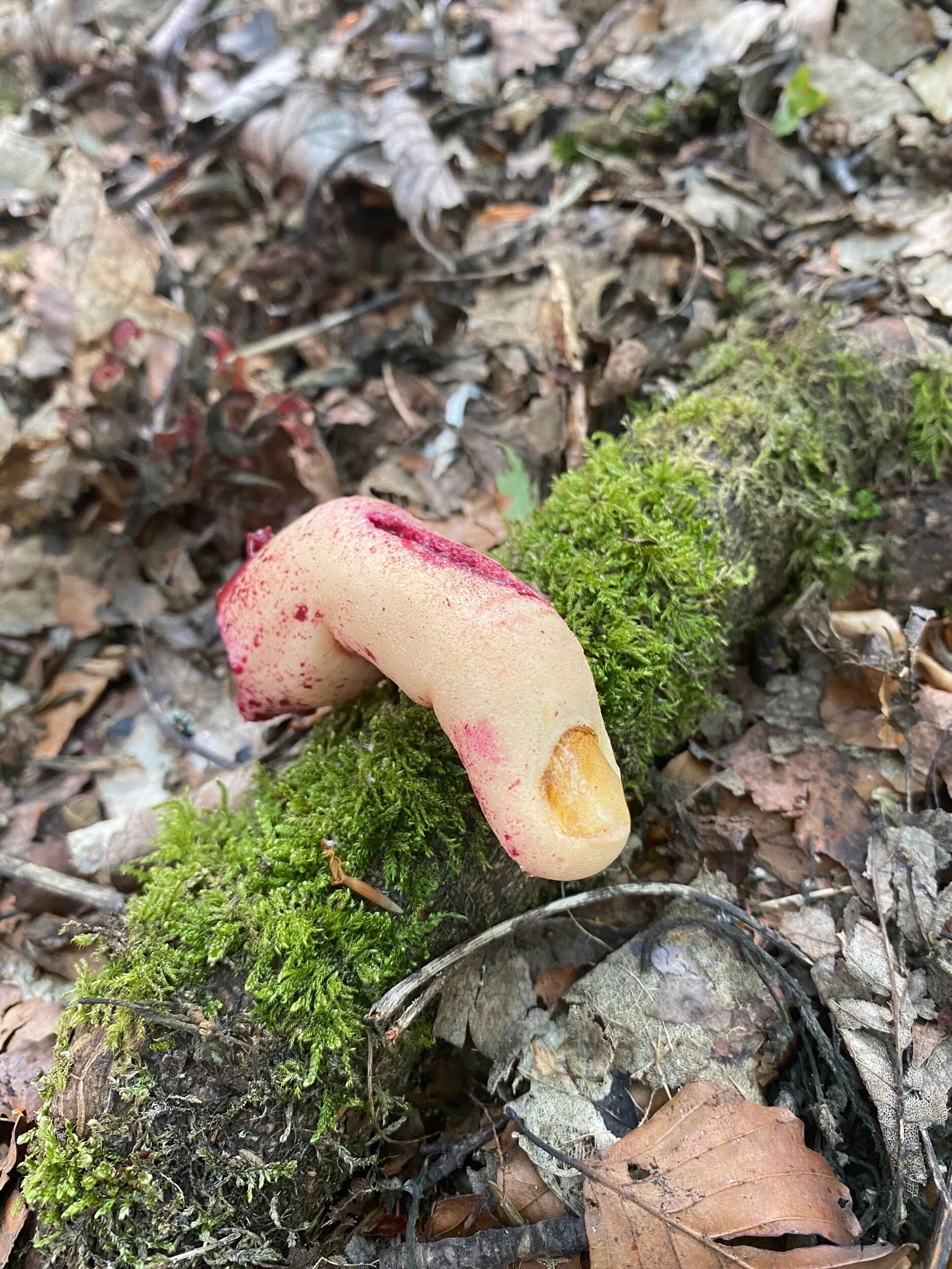 3C841A64-3B63-475B-9F6F-4A49BF1335AE