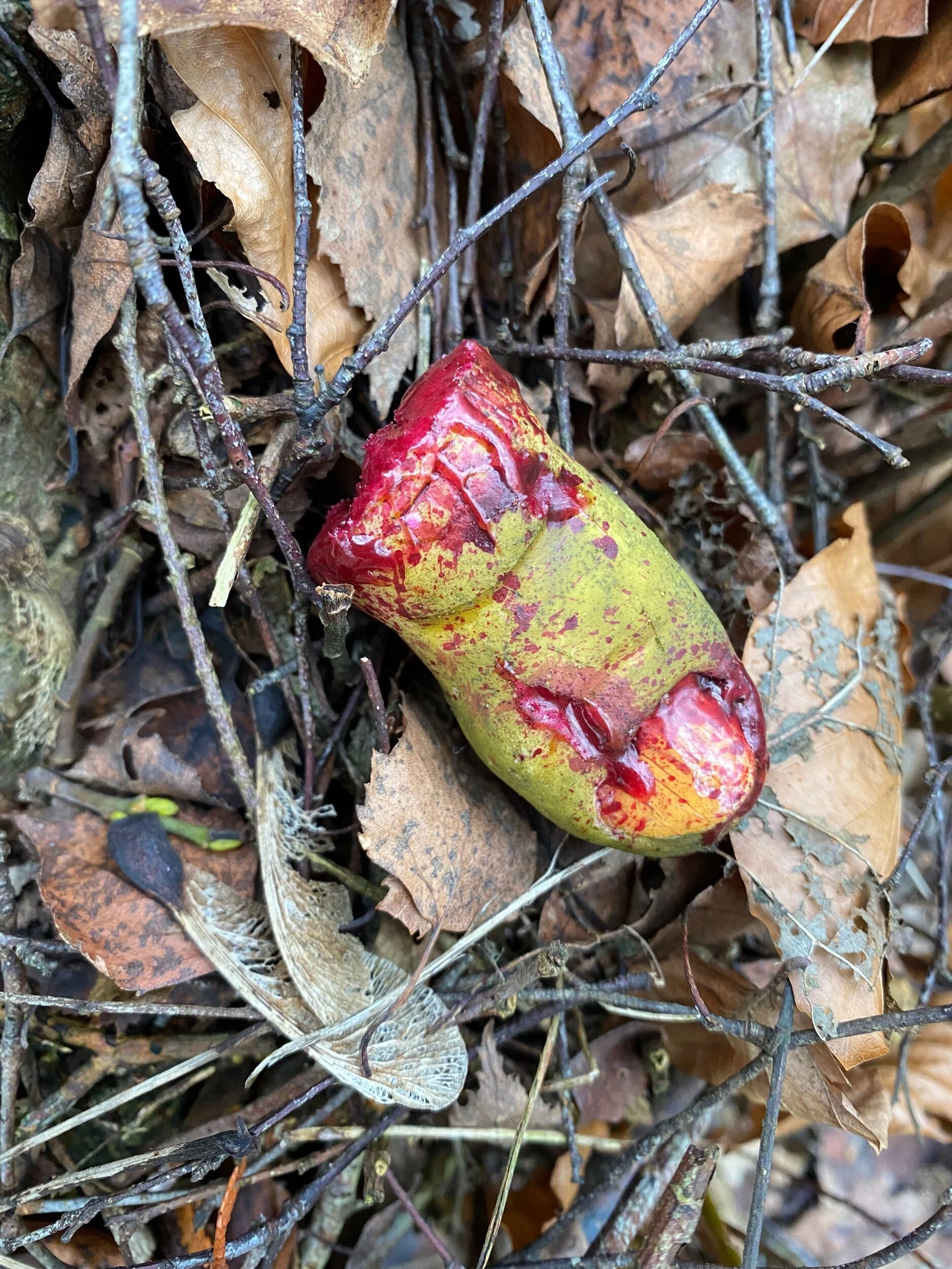 E08C1685-82E7-457F-8250-4D0A36739334