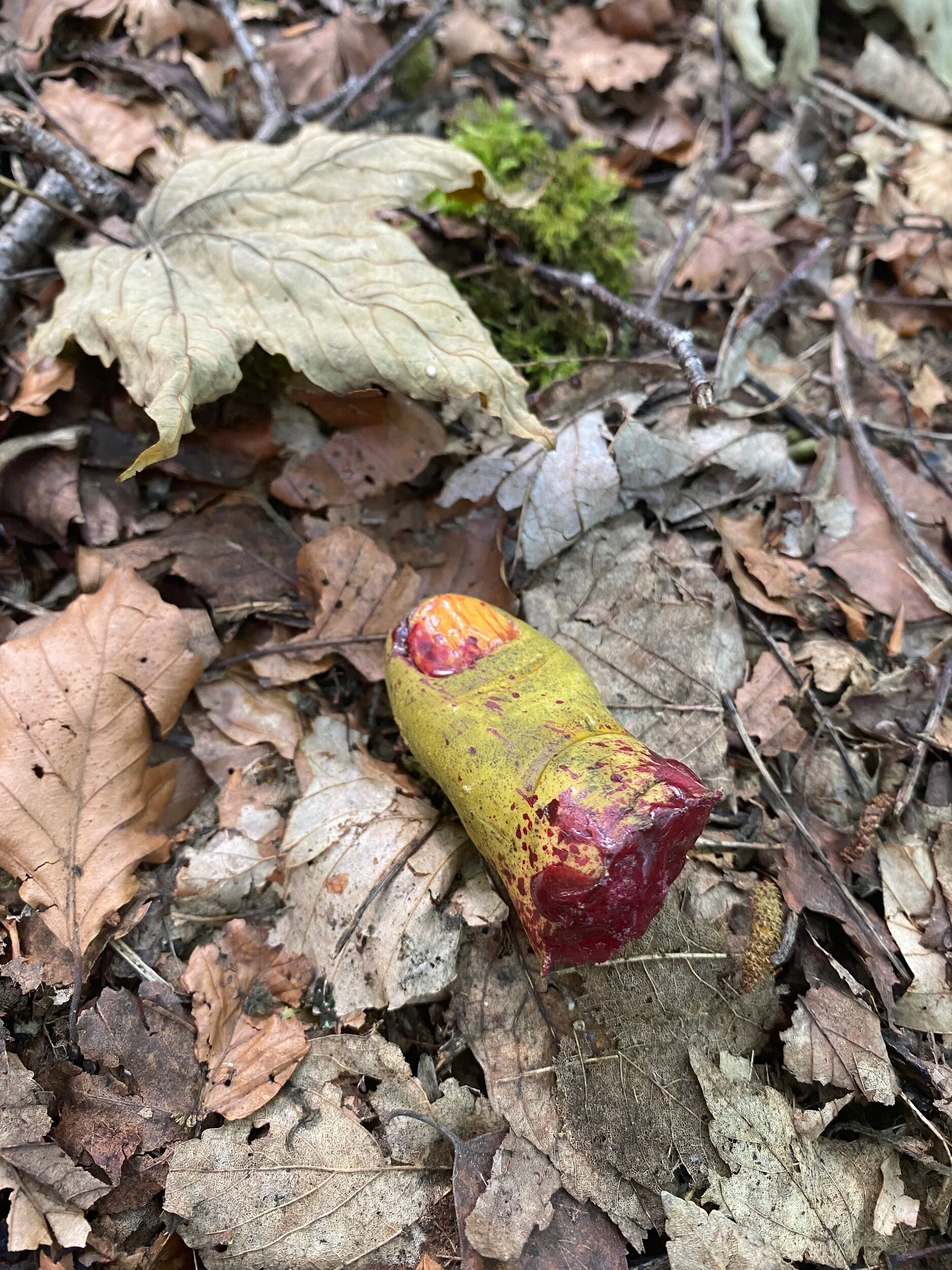 1B557FBC-4B1D-4B38-82E3-3008F14D0F6B