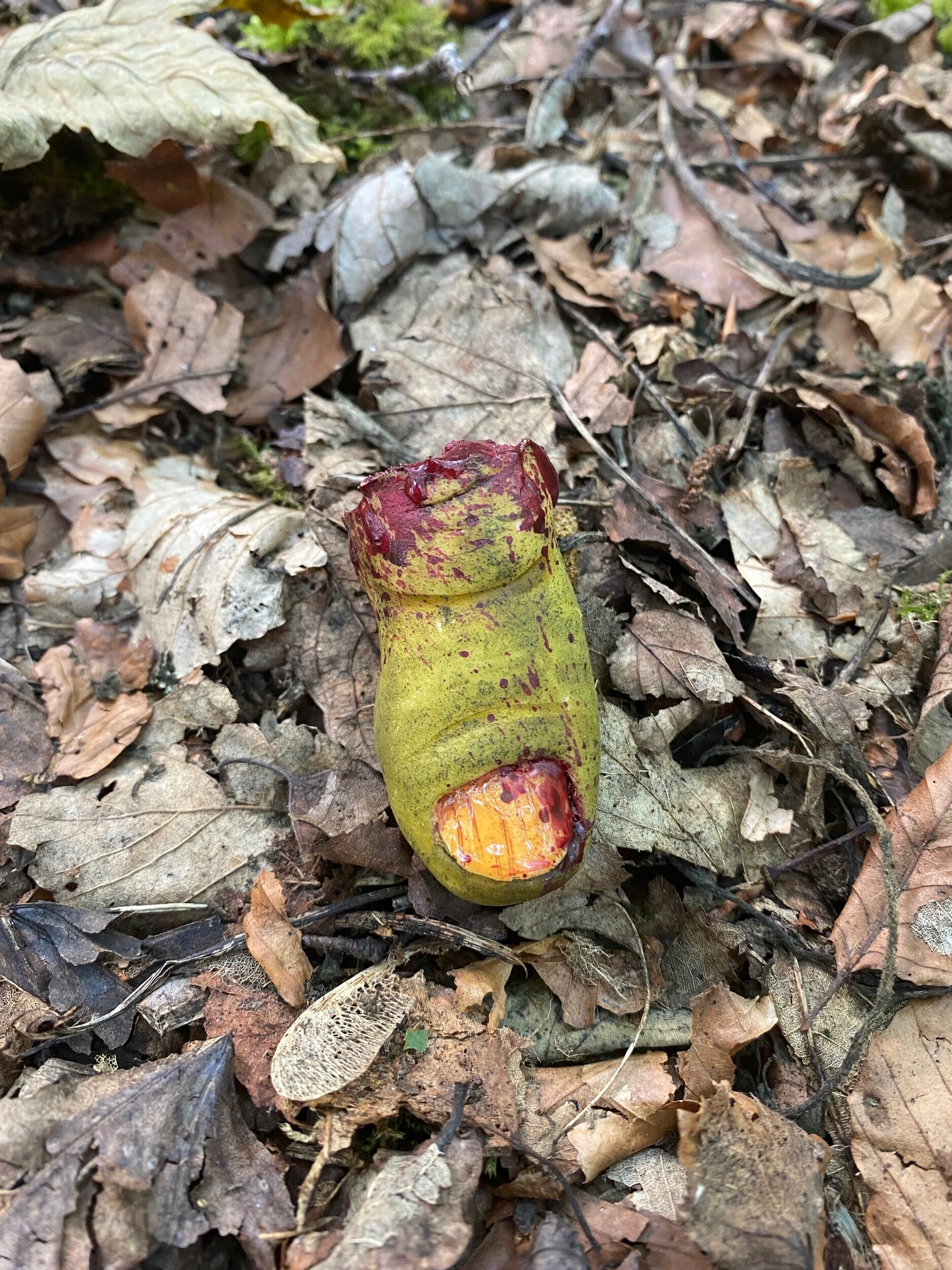 71B311BC-8049-4CEA-A789-06C4200283CA