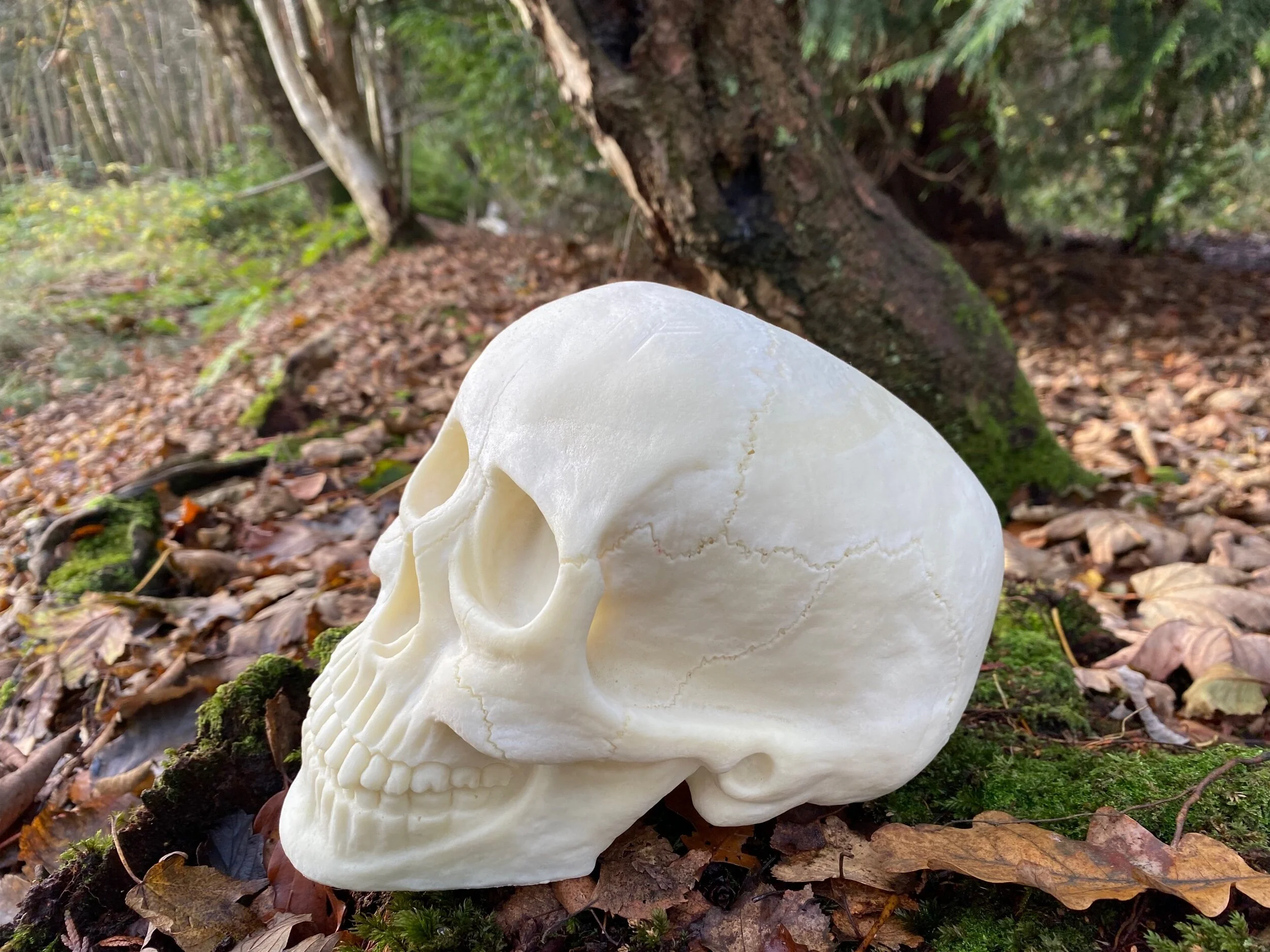 C659B0D3-C719-4051-9CCA-822DCCC98134