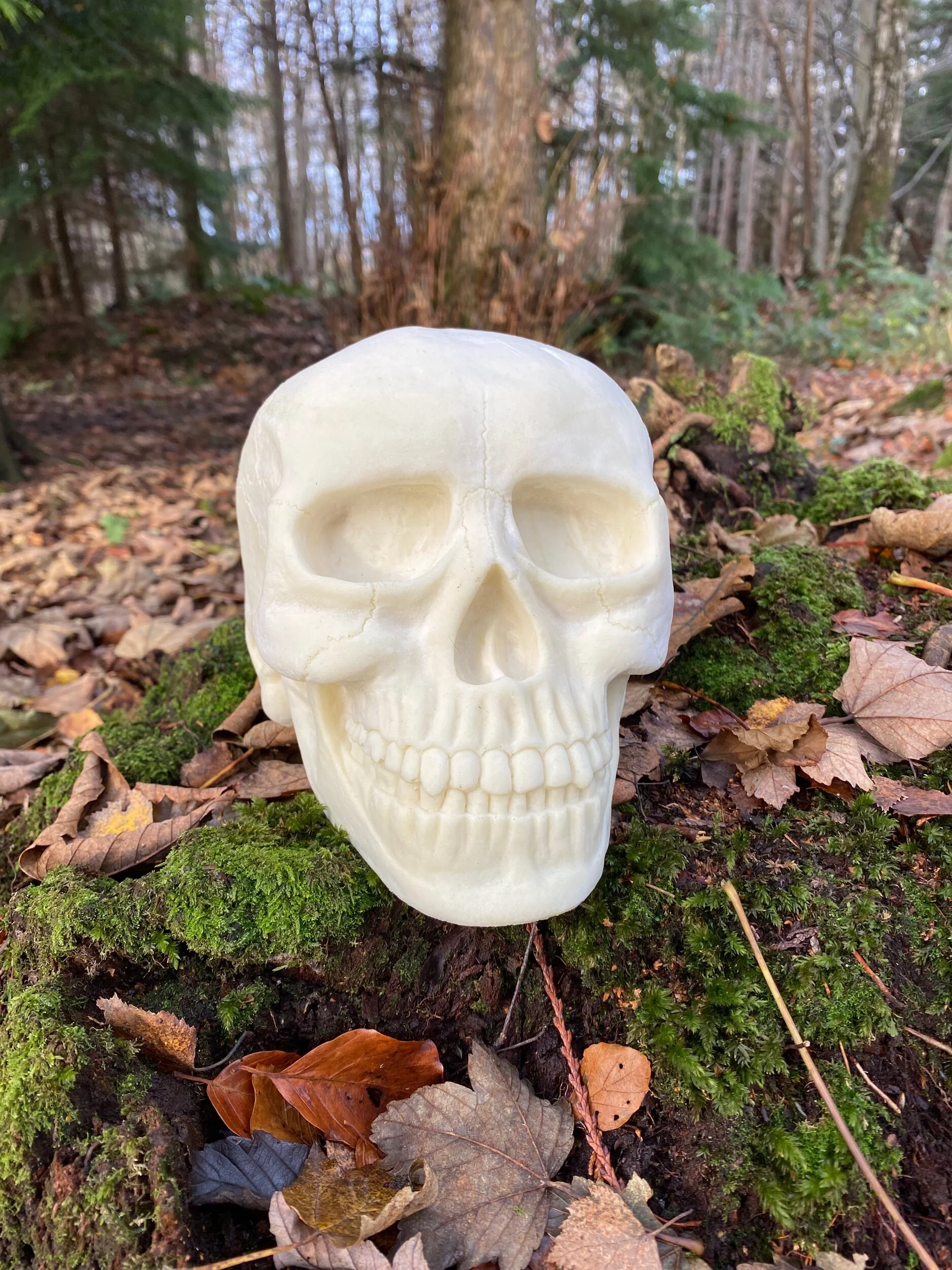 30DCDAFA-8B7F-49AA-AF12-E4AAB2AF79C0