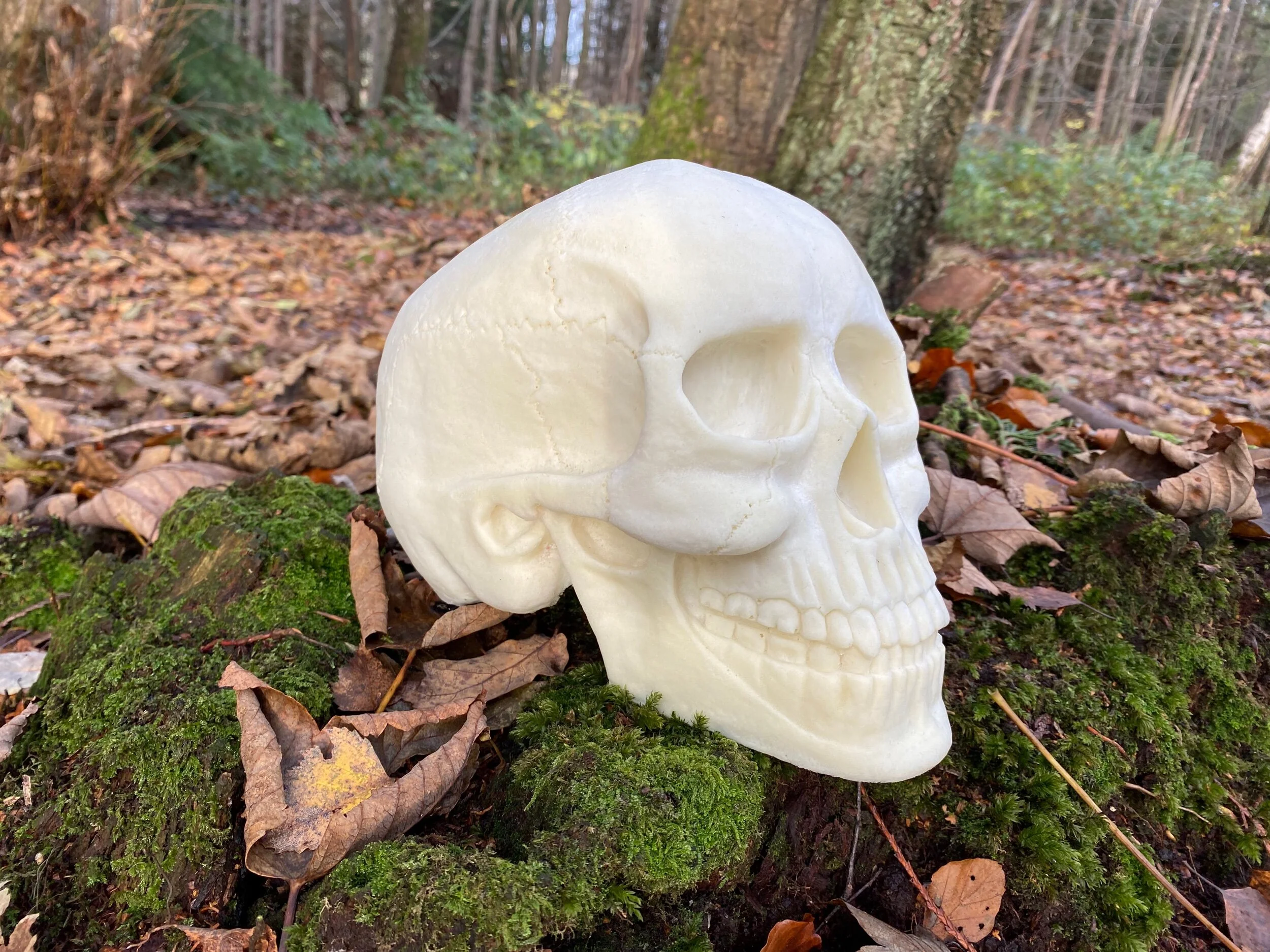 2C436C8A-67C7-4737-80CF-BE6EBDAA0291