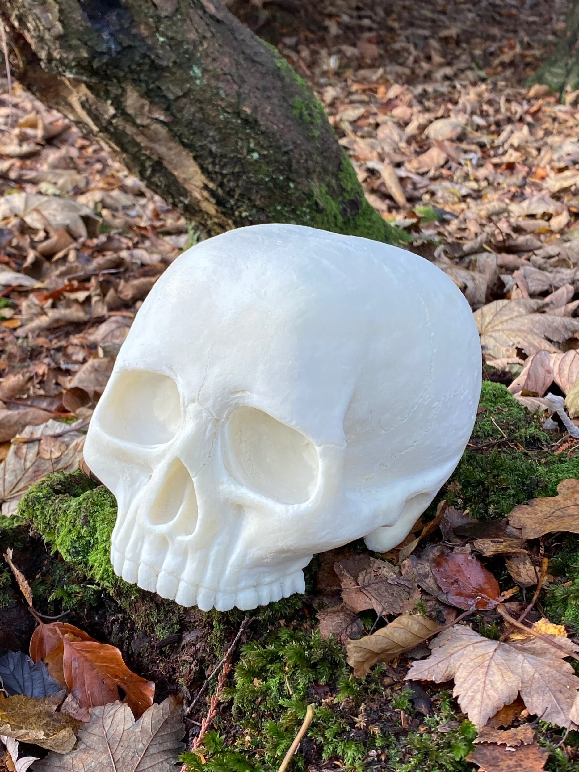 D7BF992B-D9C6-4144-9A90-AF2A9C4AF567