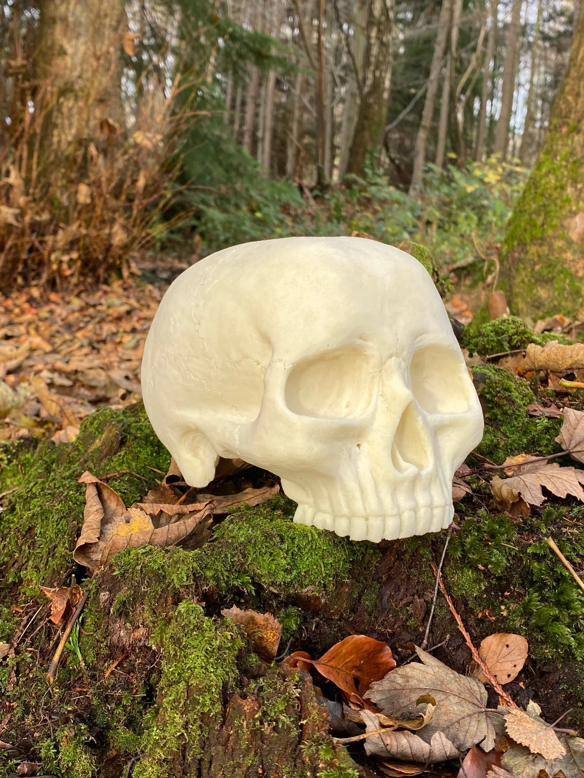 692846C7-3D93-4D3D-B7C5-B1C5101560A3