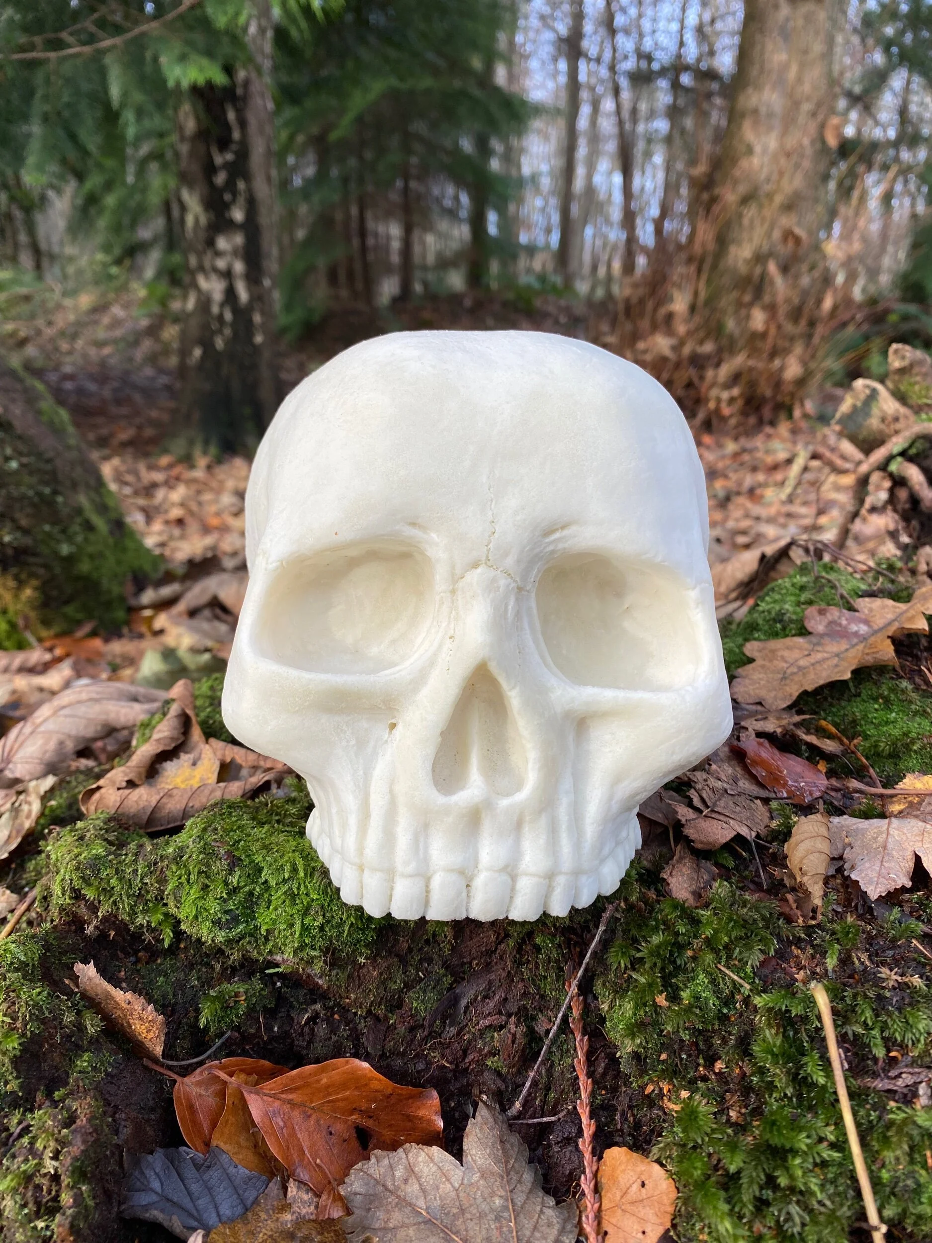 CAD1E7FF-F1BF-46F8-9FB6-25F408226CC7