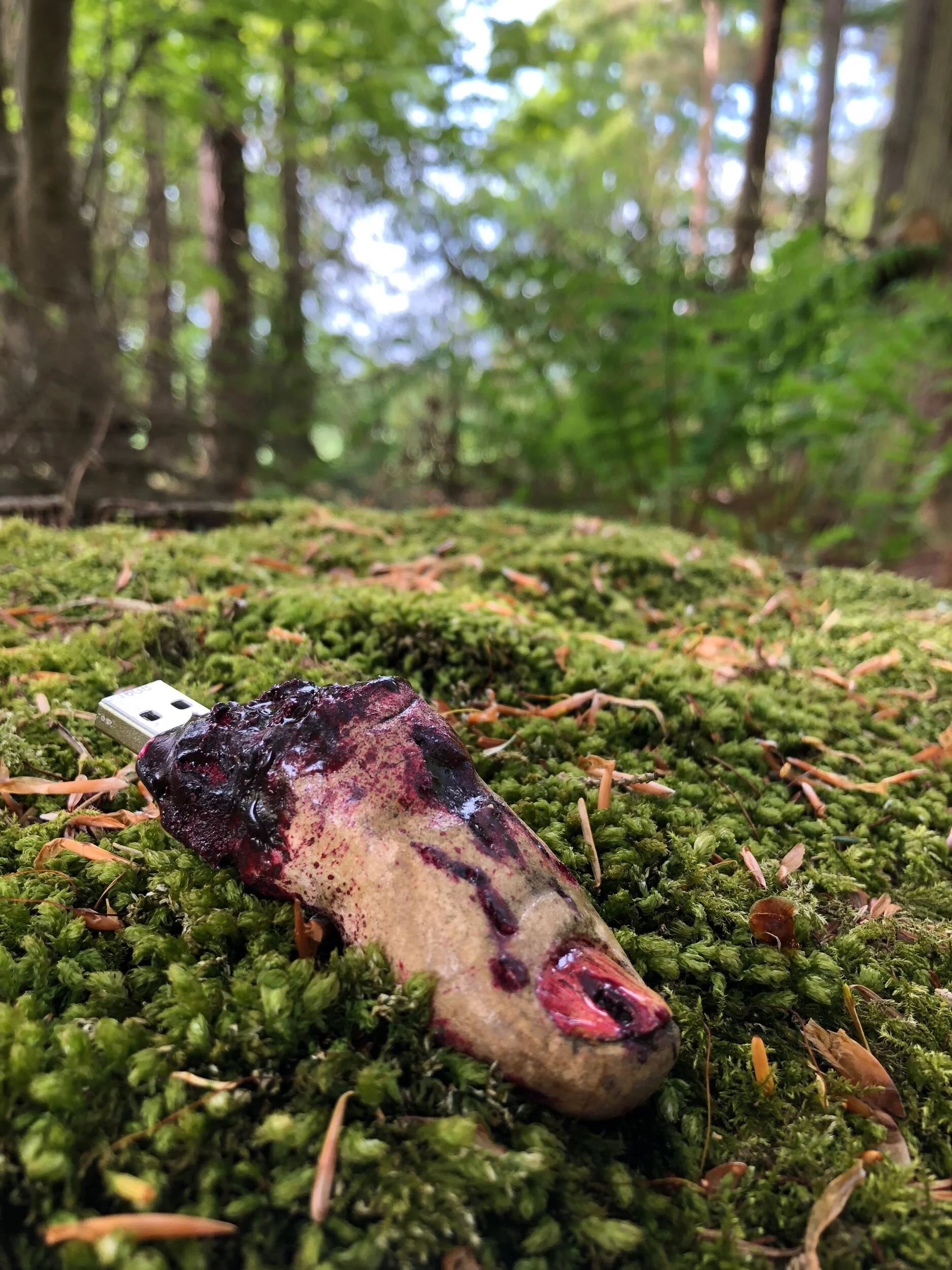 CAF6AA4F-F57B-48F2-A532-9A39EEBC608A