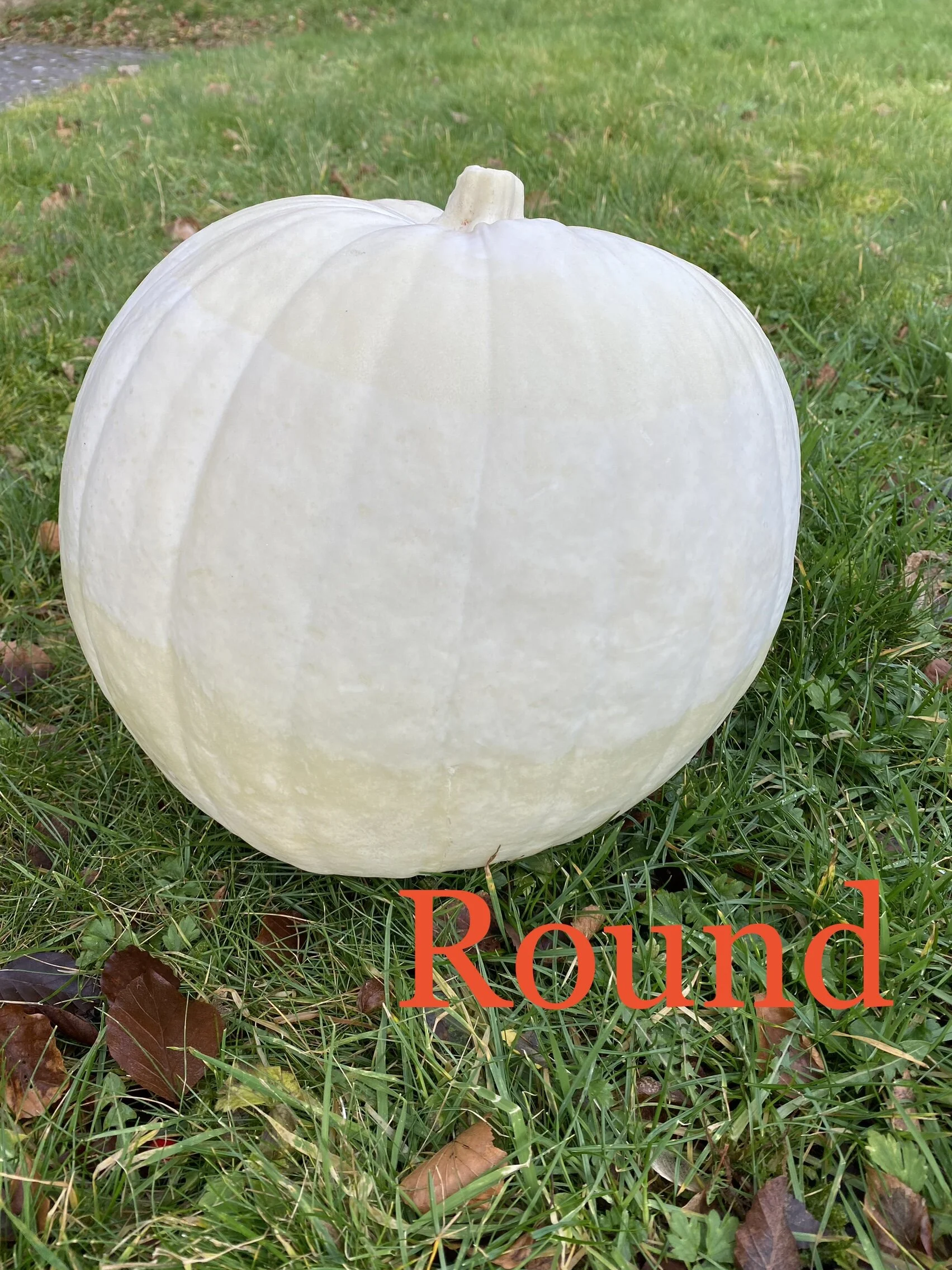 57761142-9CBD-44C6-A152-29CF67831BAC