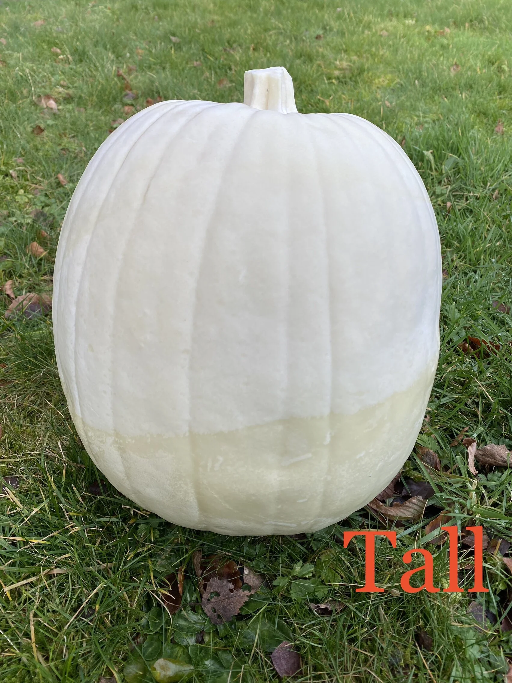 EC5900D1-9DF6-4D00-8CA5-FE056180258F