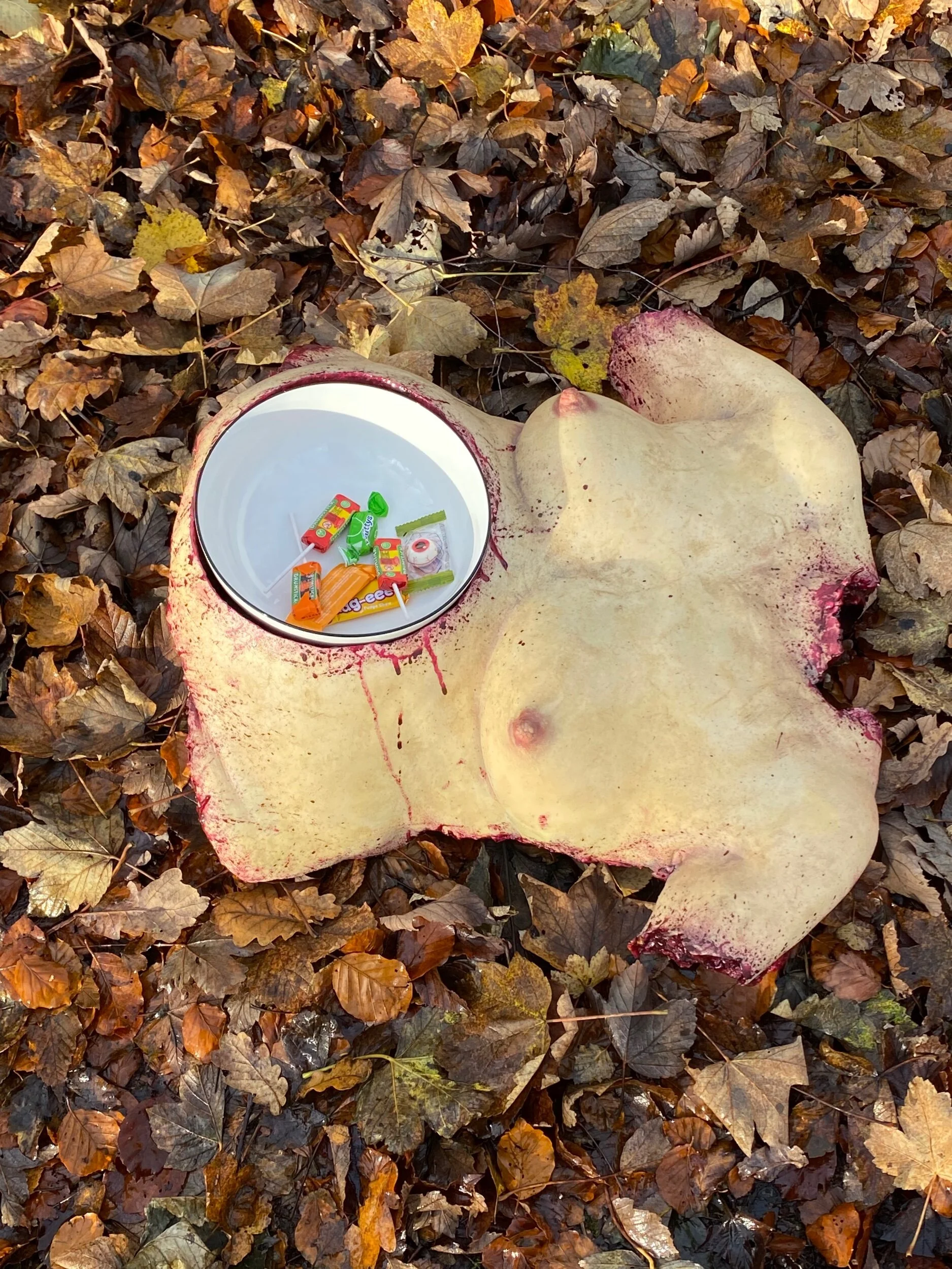 0B7479D5-EF15-49CC-9C36-576D21CD614C