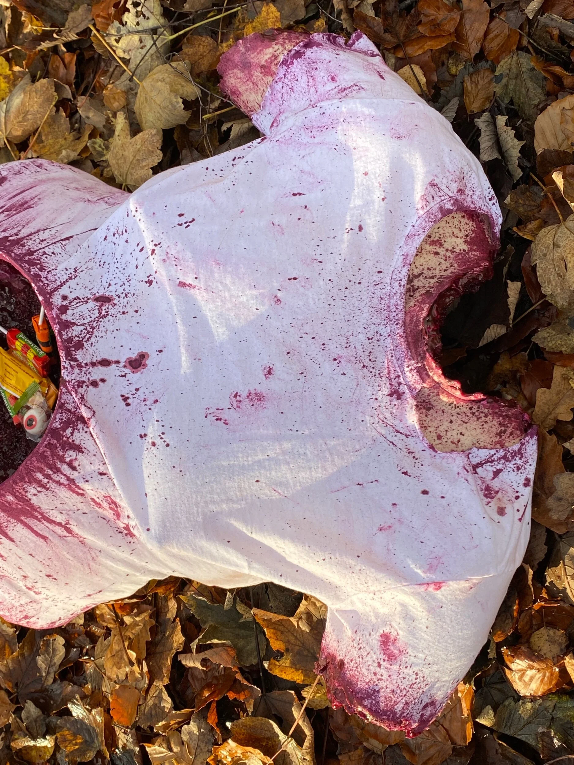 36F3D540-2DFA-4906-BAA0-6B62E210CEB8