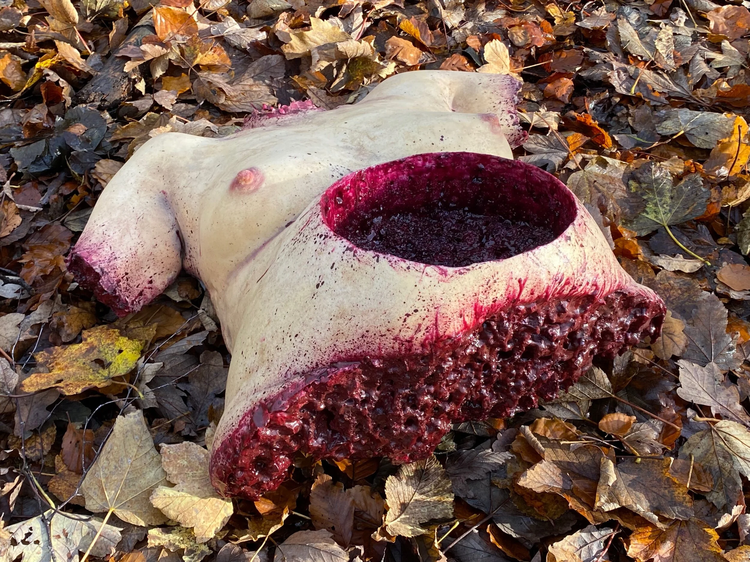 B783EBB9-121D-4518-9BBC-26C8441E34D6