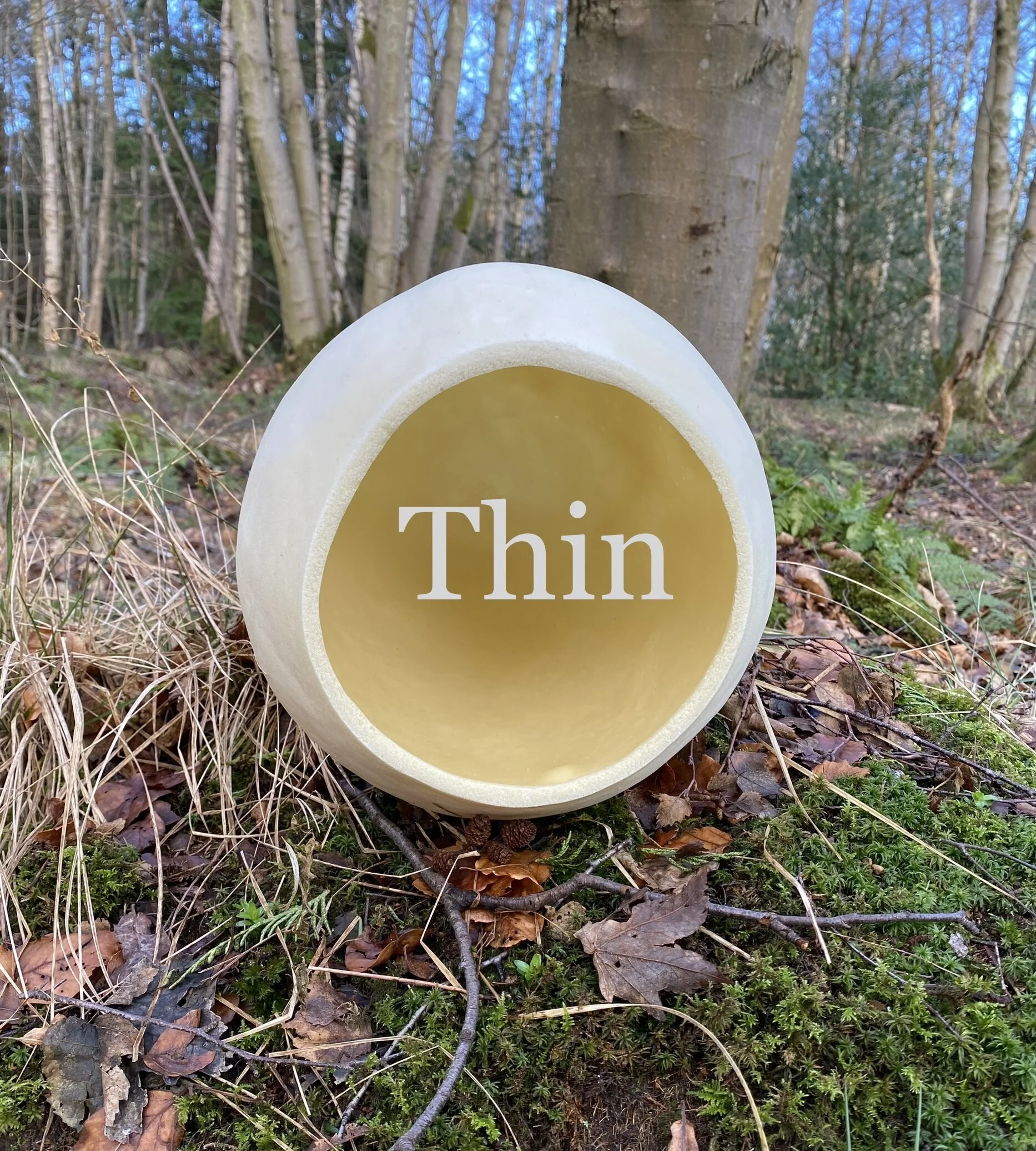 0850F406-7497-48C4-AB9D-C628D1EDC9A2