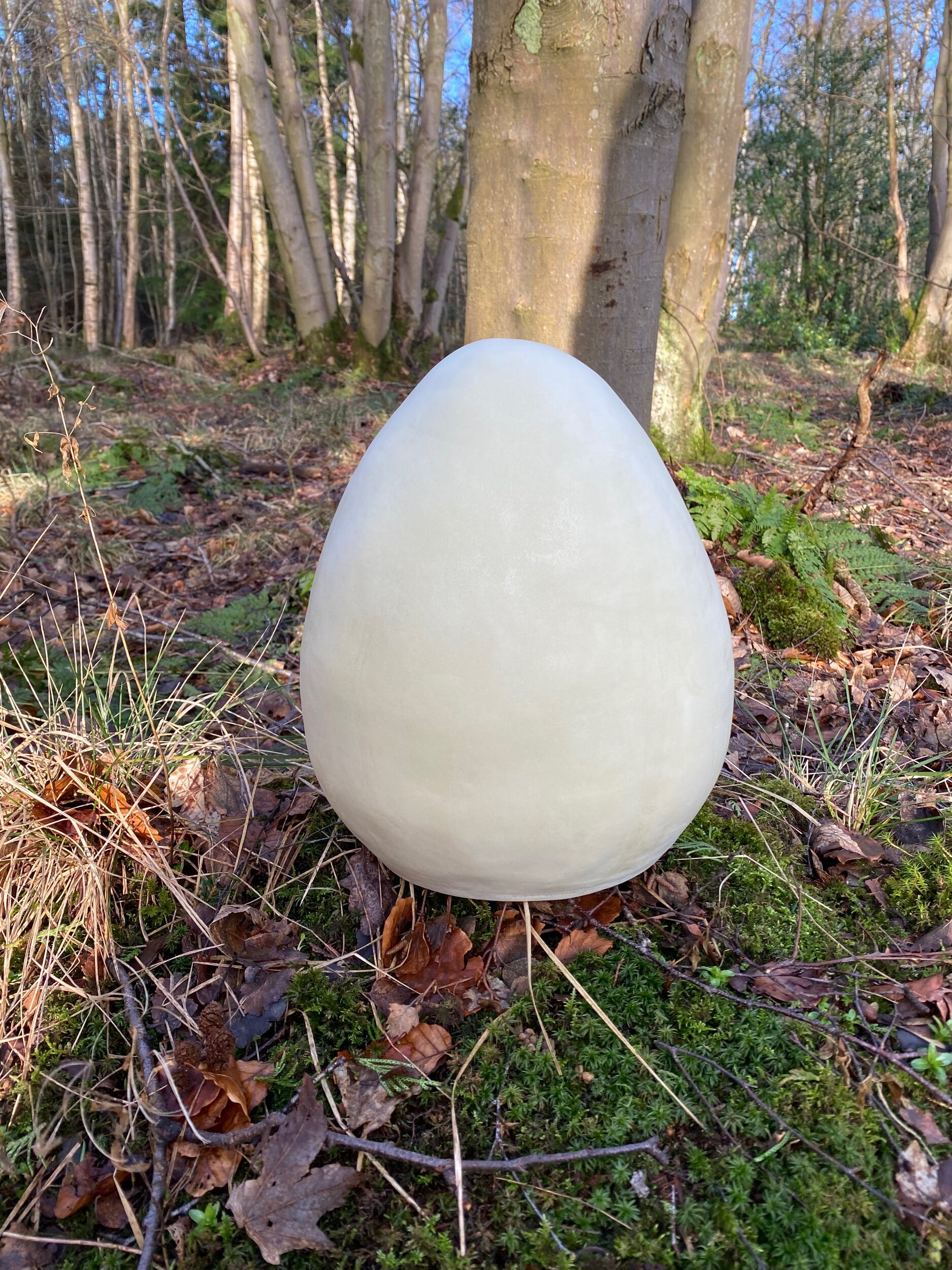 DCBA9F6E-9086-4996-90EE-4431CB3BBB06