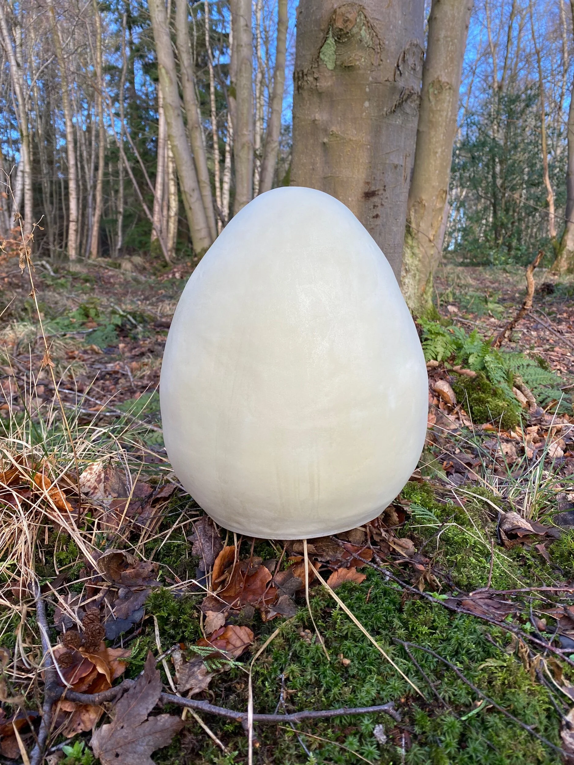 3C362F48-B84B-44E4-9232-A5AC8D137C09