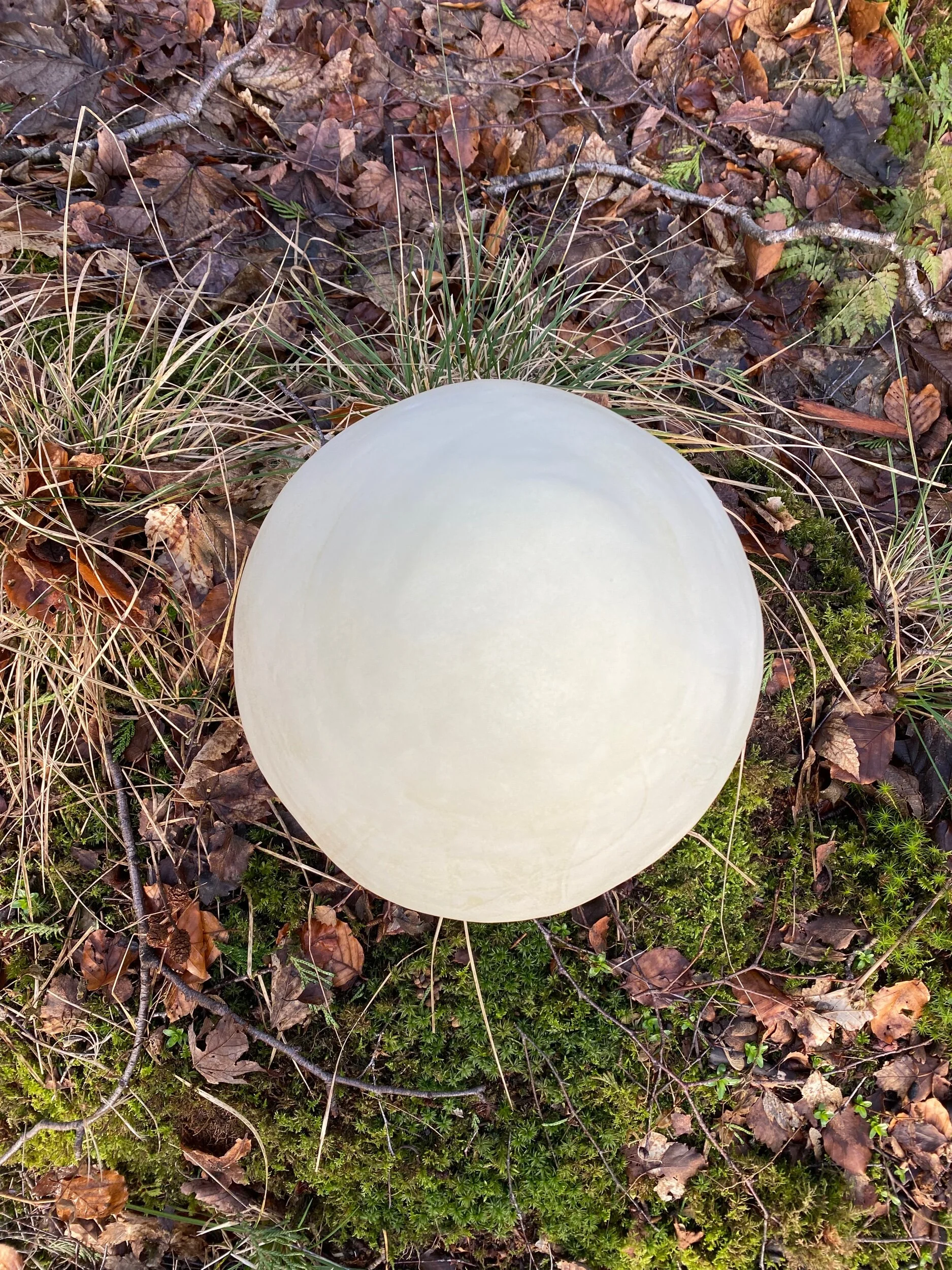 A949E4F0-22D2-4F17-B56E-3AD75E30BB96