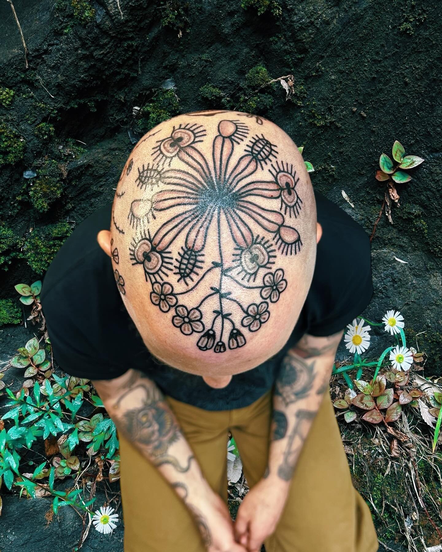 A mild headache for Brian 🌱 we&rsquo;re working on a full head composition of carnivorous plants 🪴 this is stage one!! Really looking forward to continuing this project 🍃 @westside_tattoo_mermaid_beach