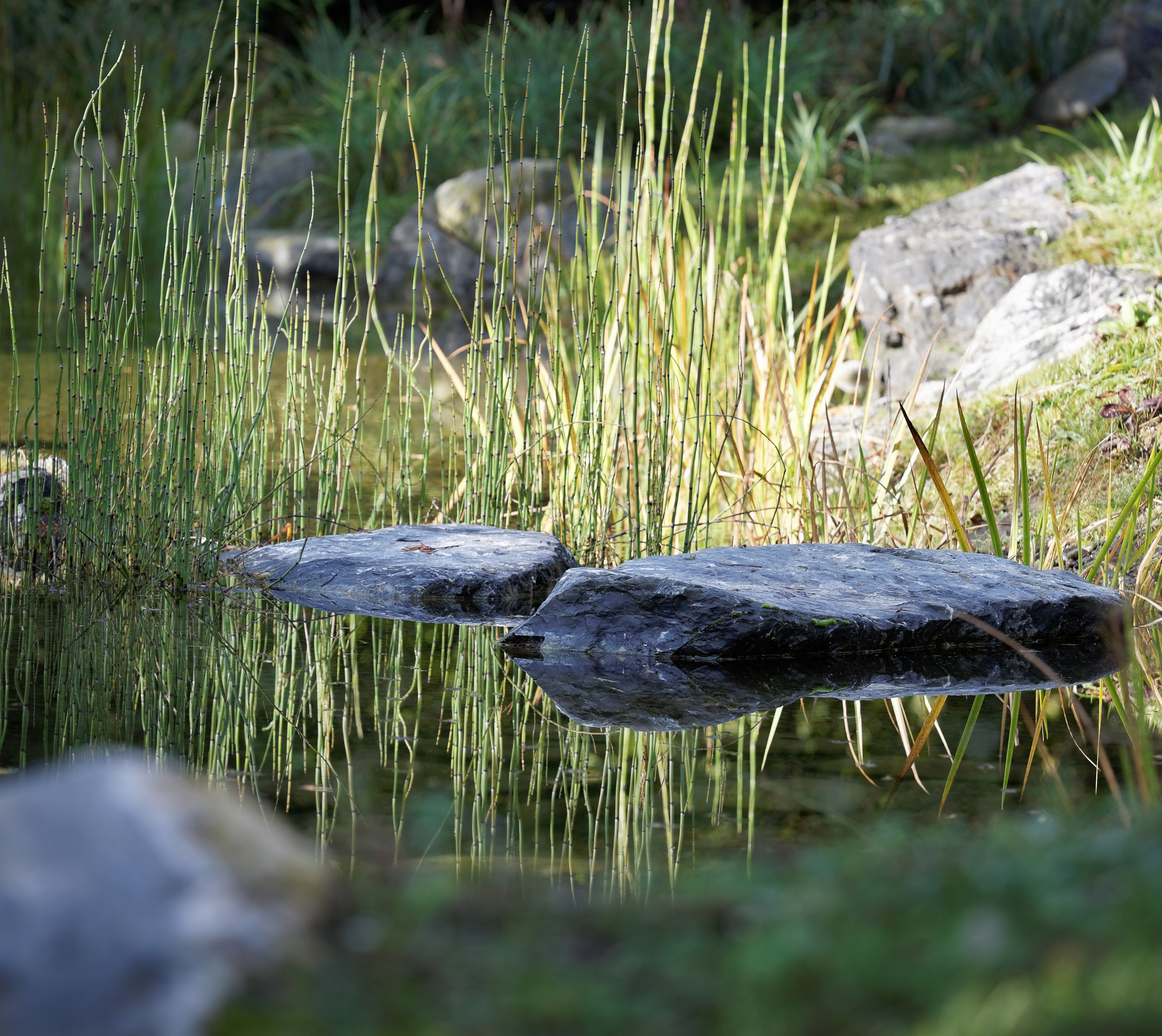 jardin_privé_des_pyrénées_terrasses_jardins_outdoor_design_christophe_gautrand_paysagiste_1.jpg